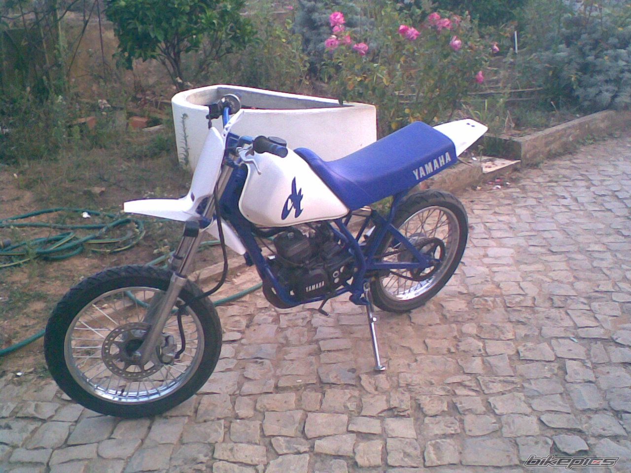 Photo 1428206