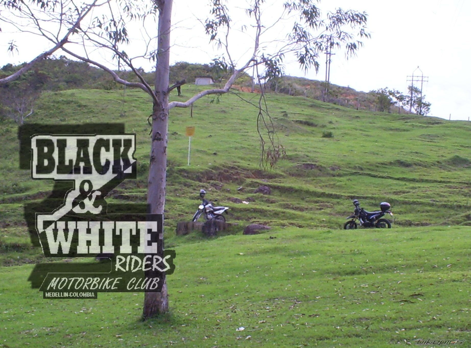 Photo 1428222
