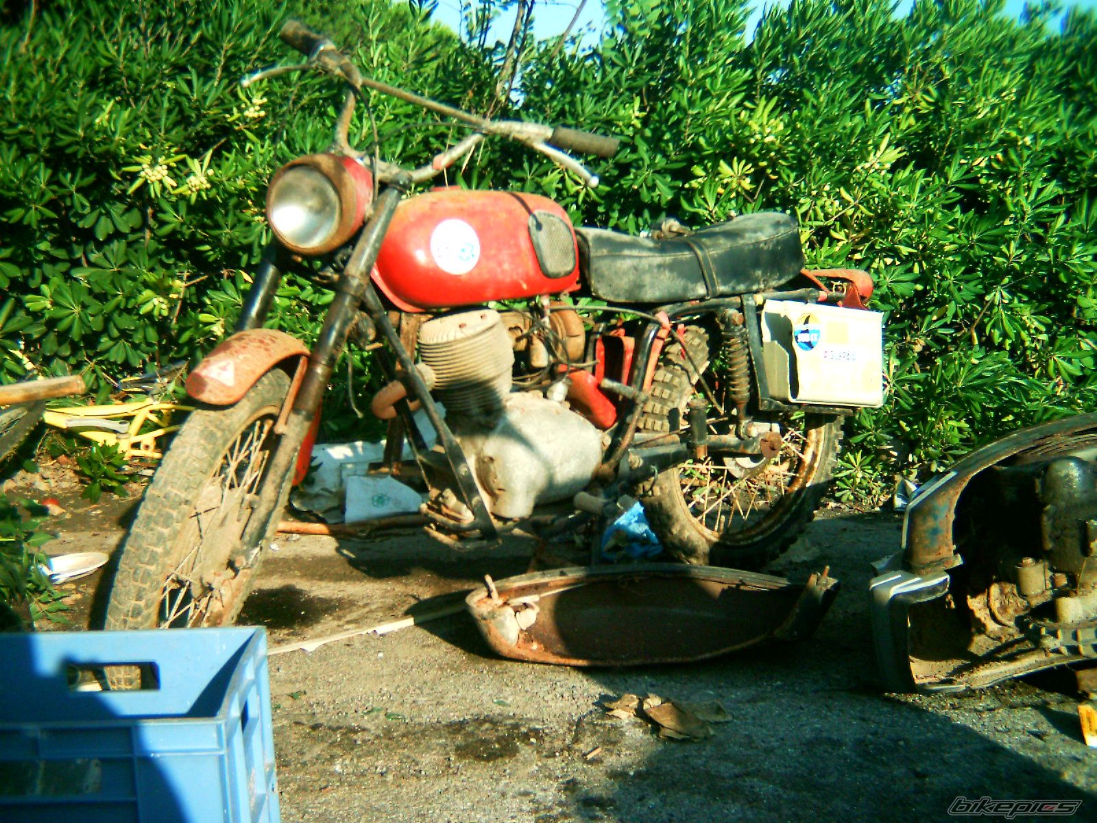 Photo 1428261