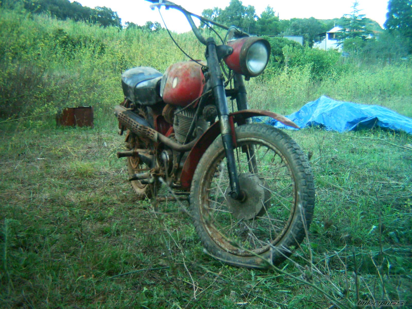 Photo 1428264