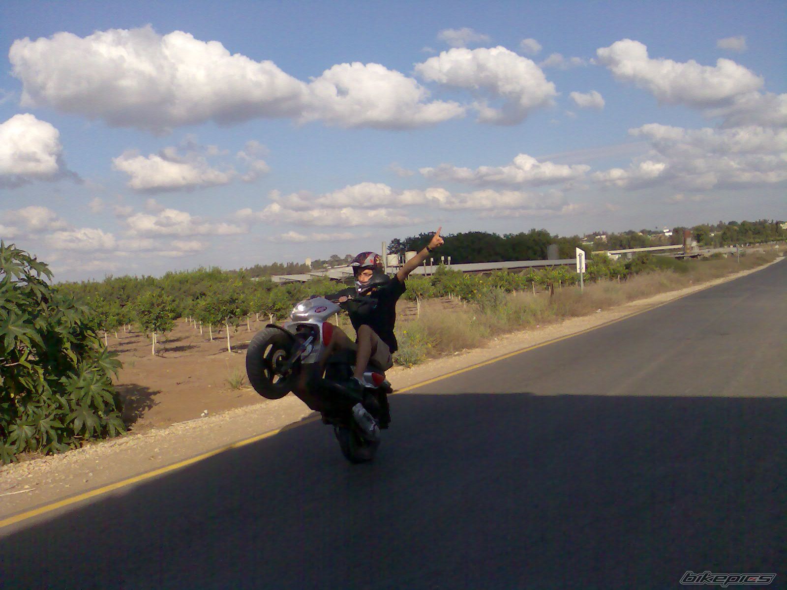 Photo 1428324