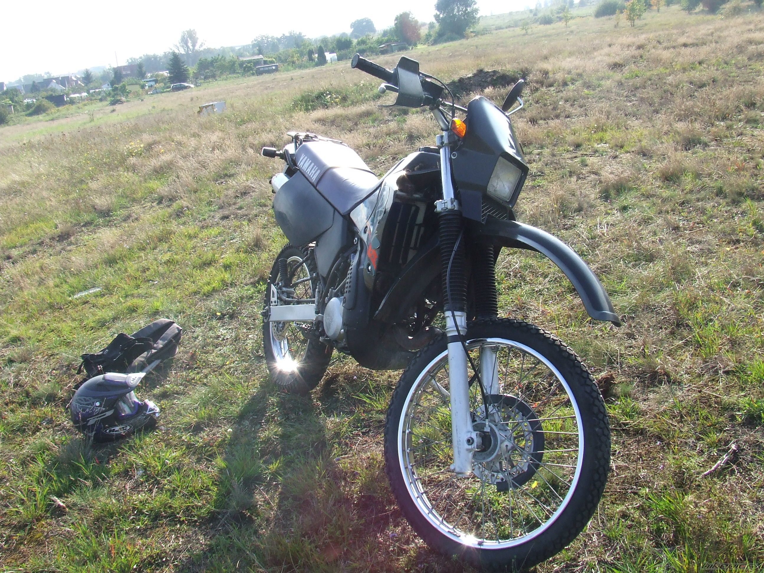 Photo 1428327