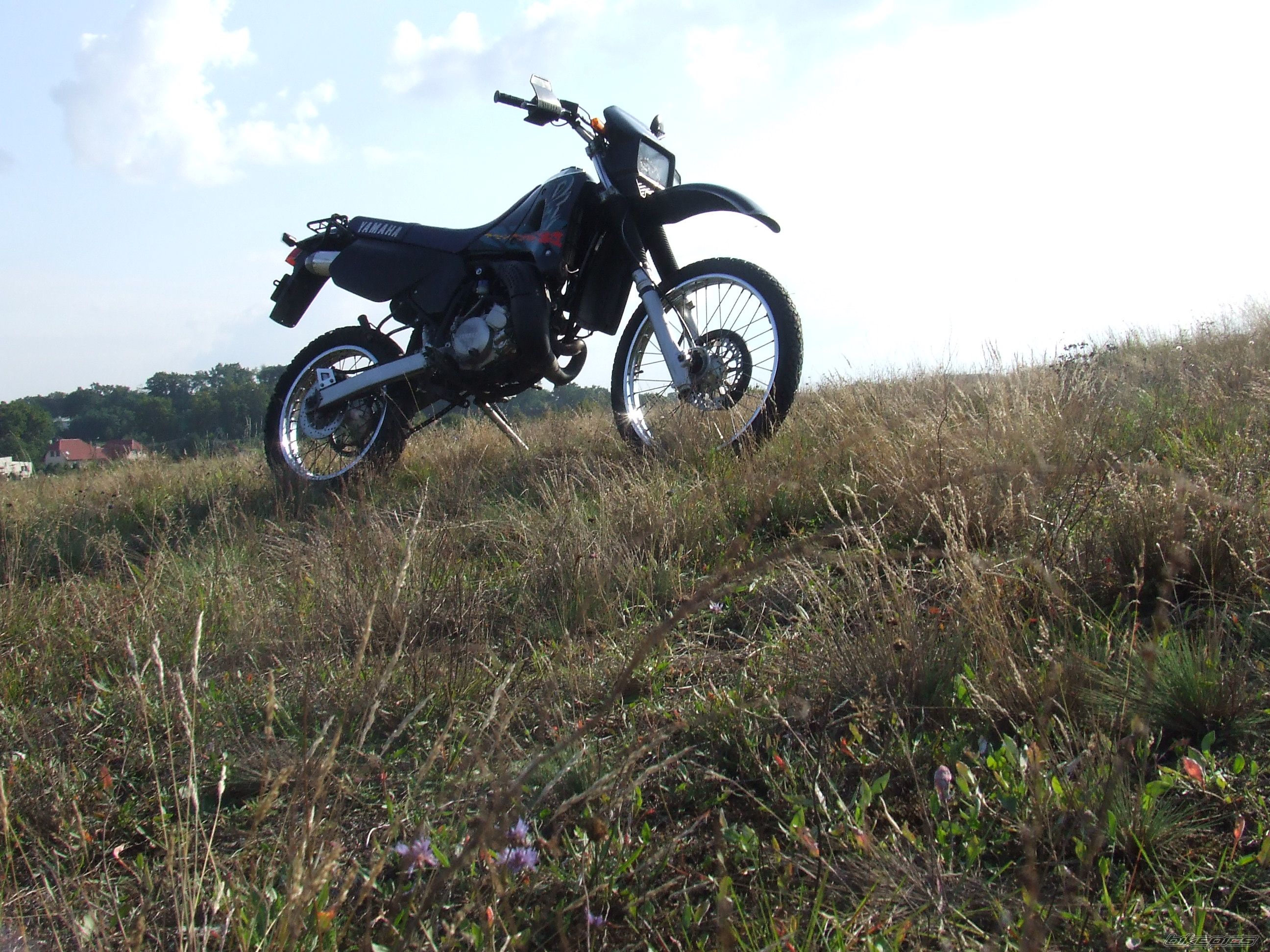 Photo 1428339