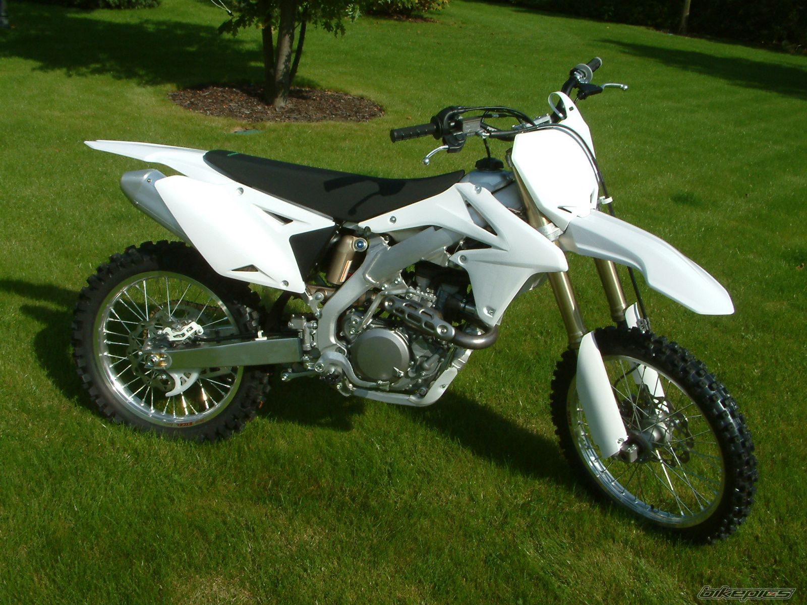 Photo 1428380
