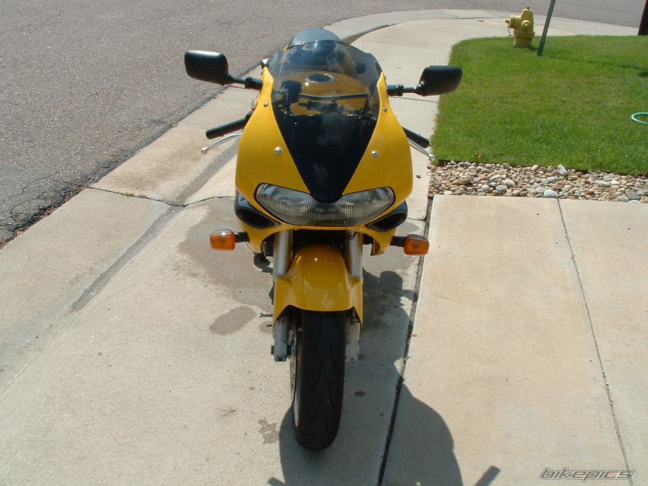 Photo 1428579