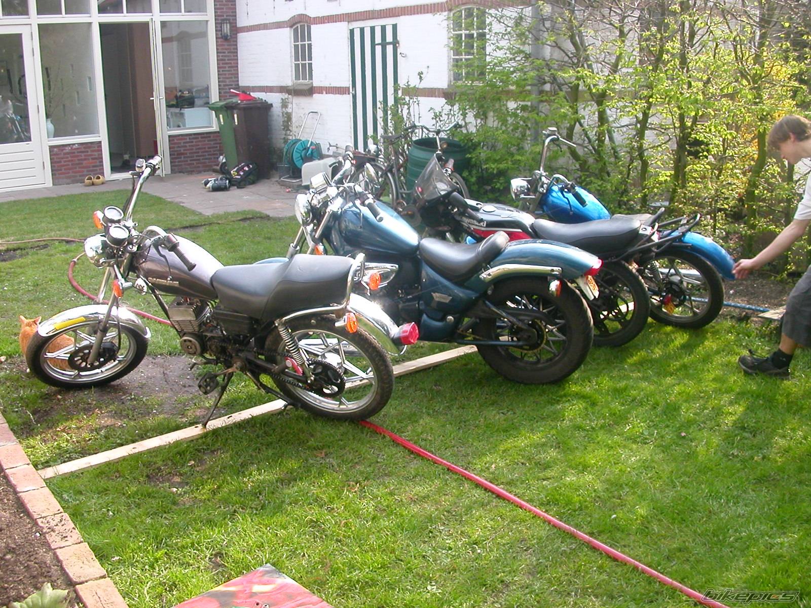 Photo 142862