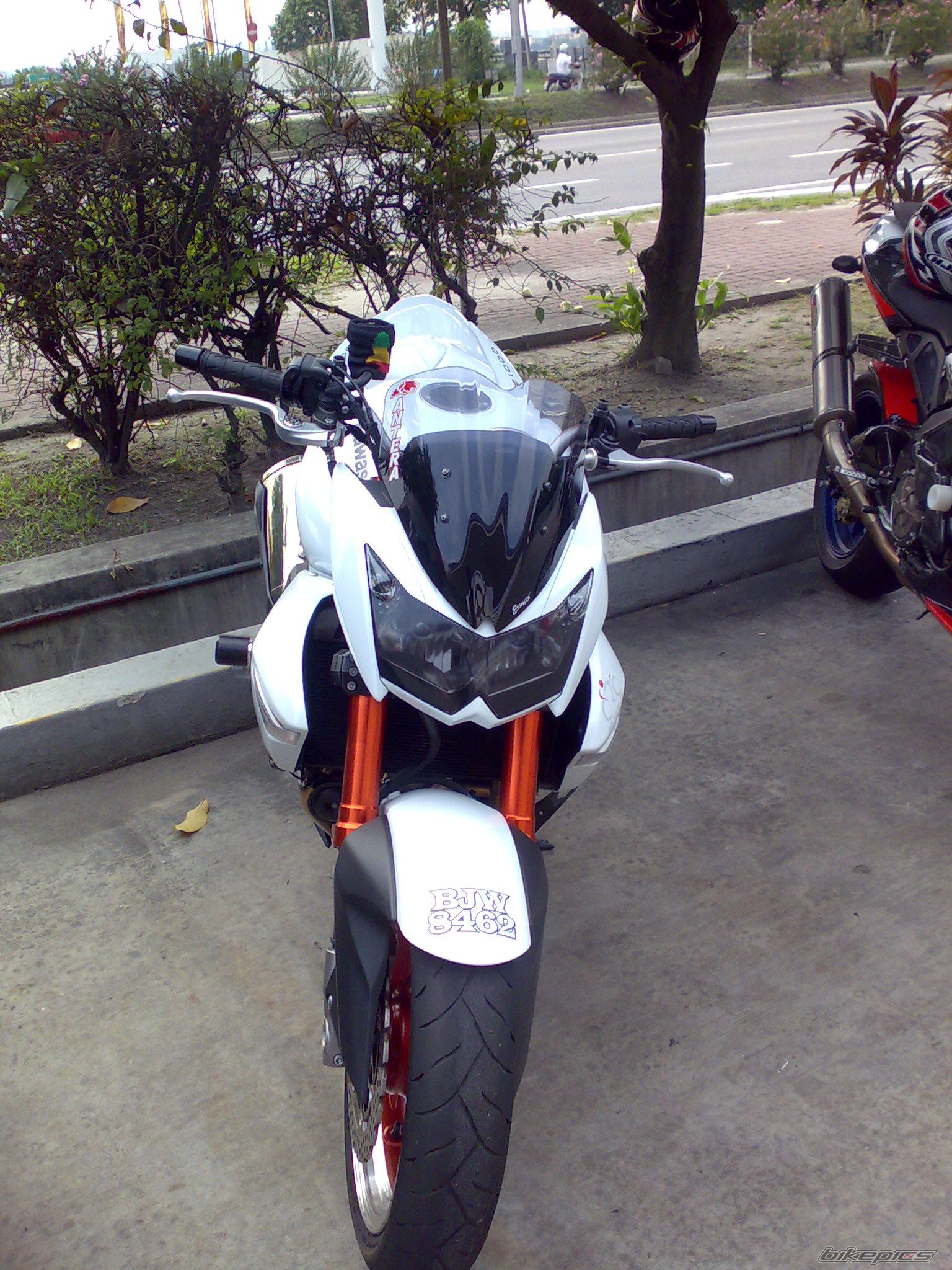 Photo 1428665