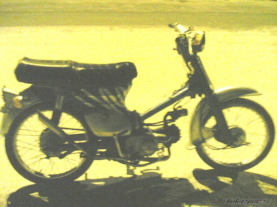 Photo 1428678