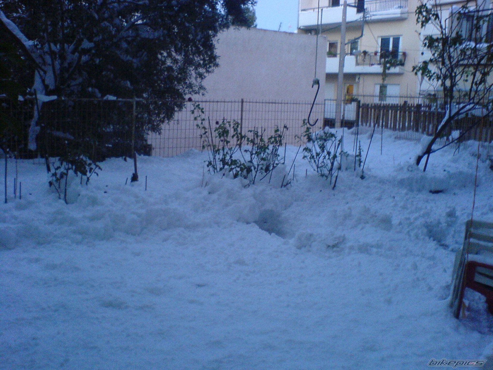 Photo 1428813
