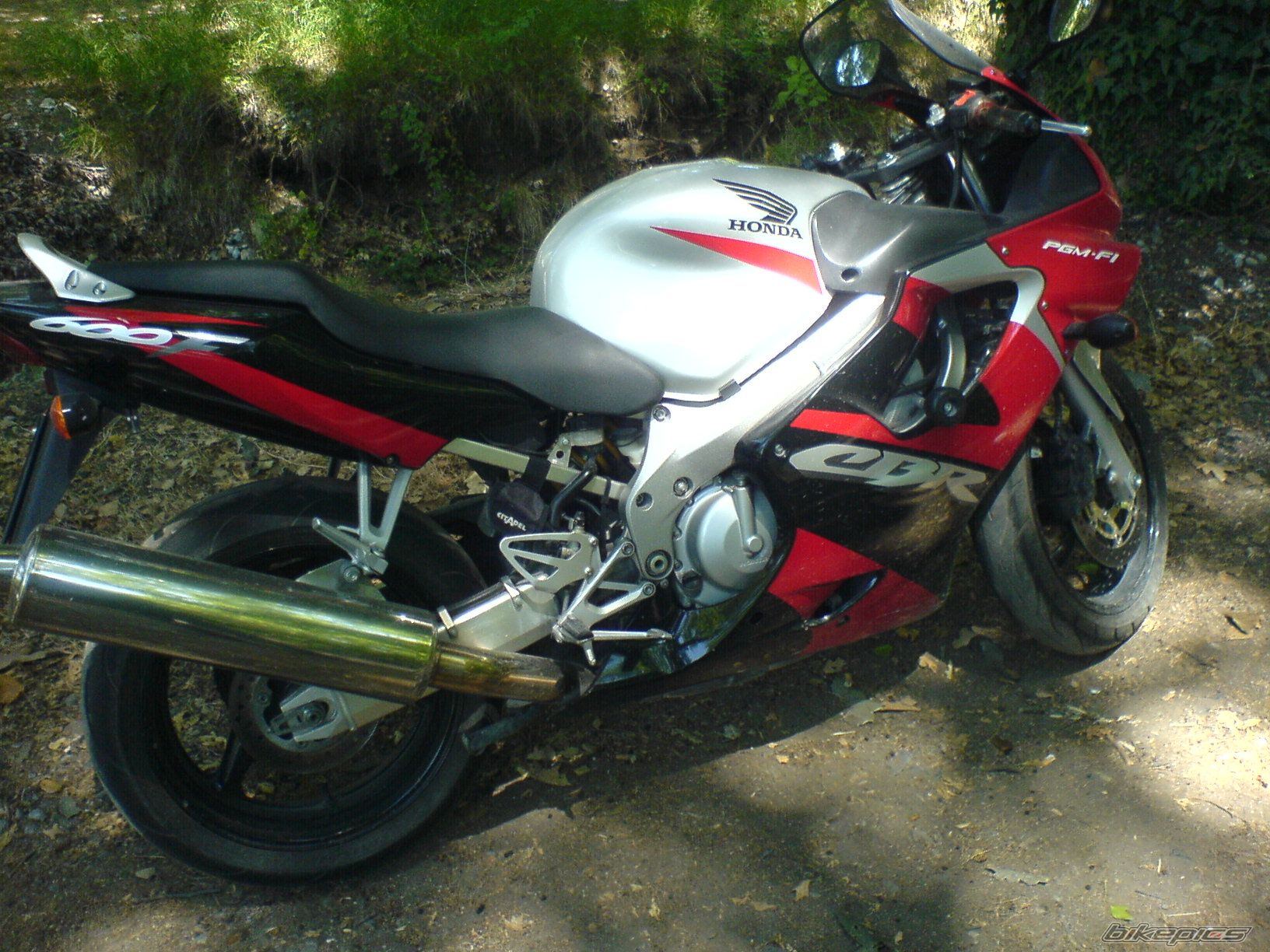 Photo 1428826