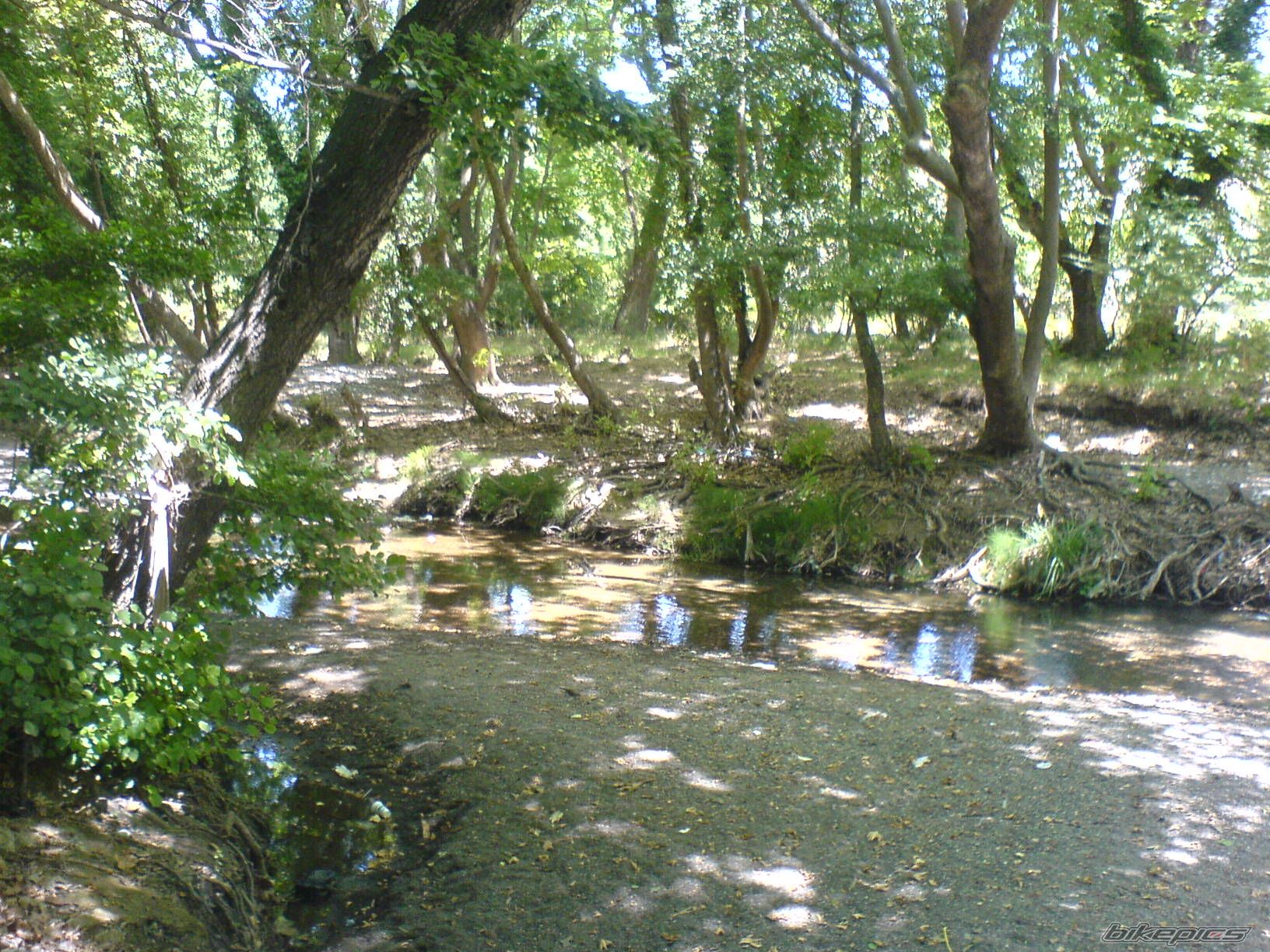 Photo 1428827