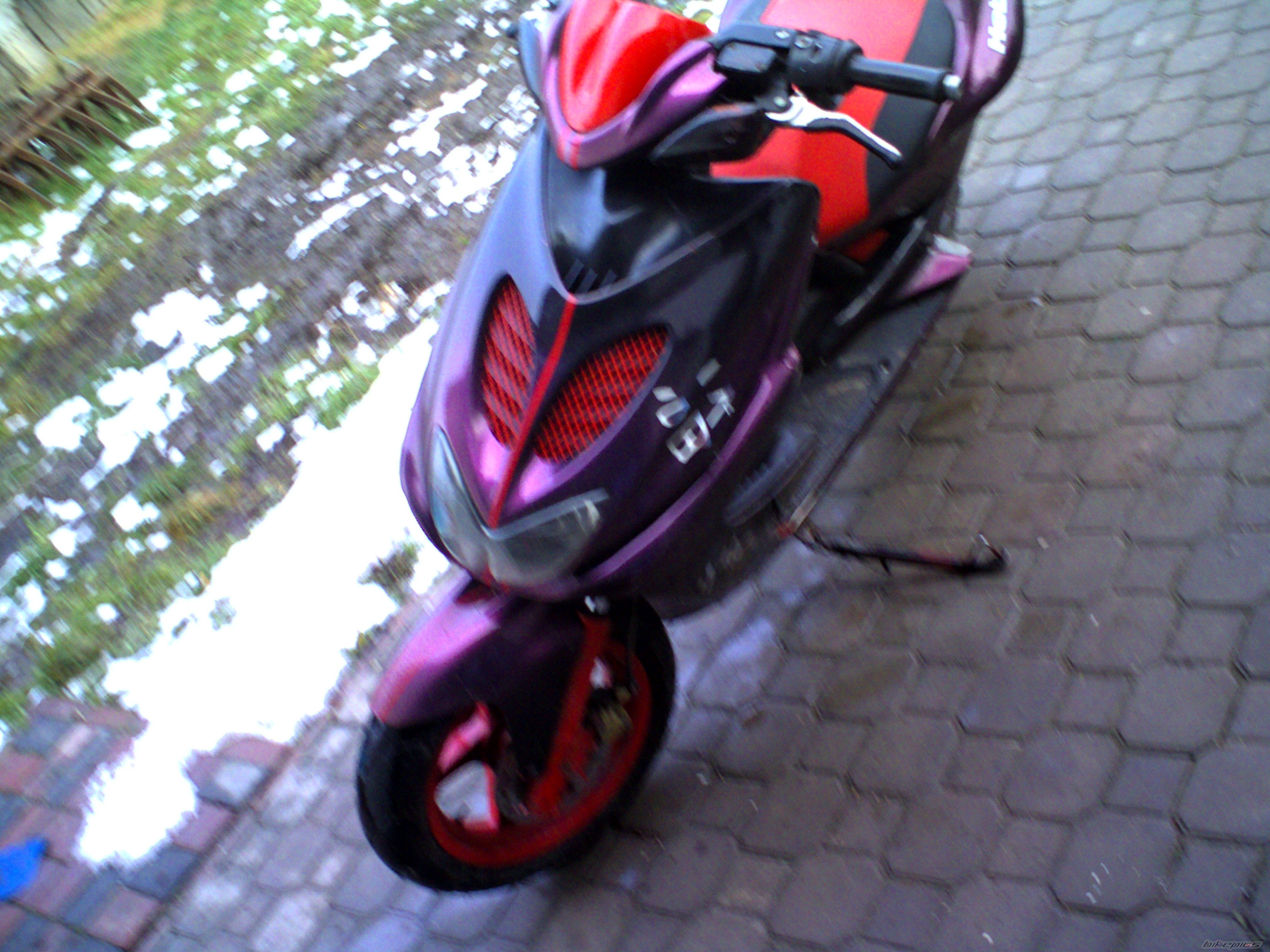 Photo 1428849
