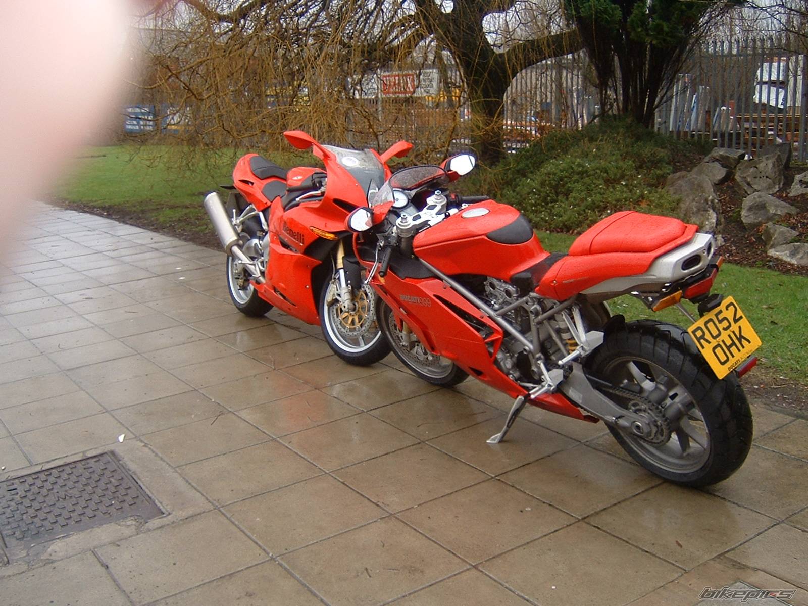 Photo 142886
