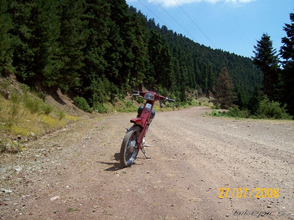 Photo 1428935