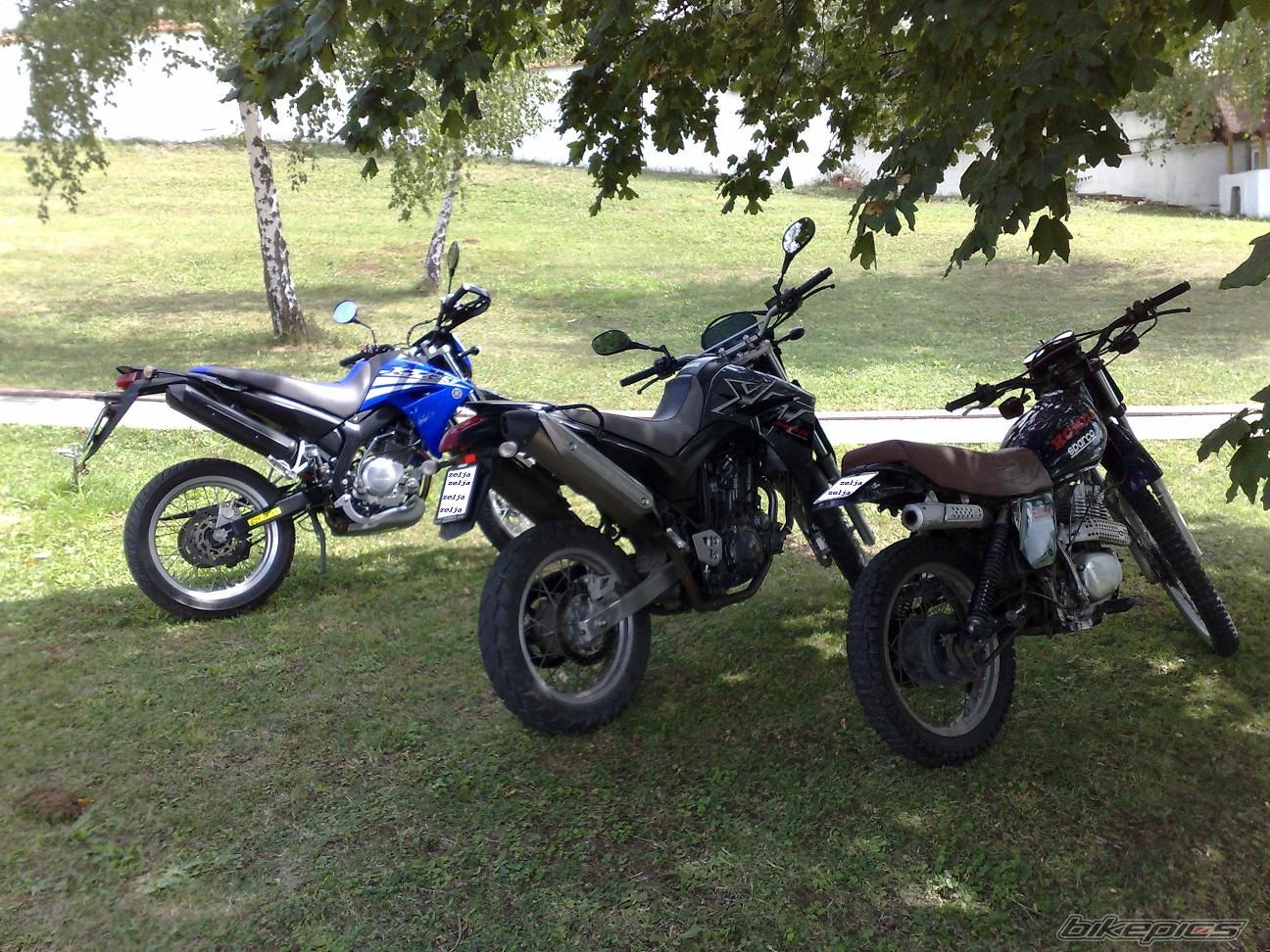 Photo 1428999