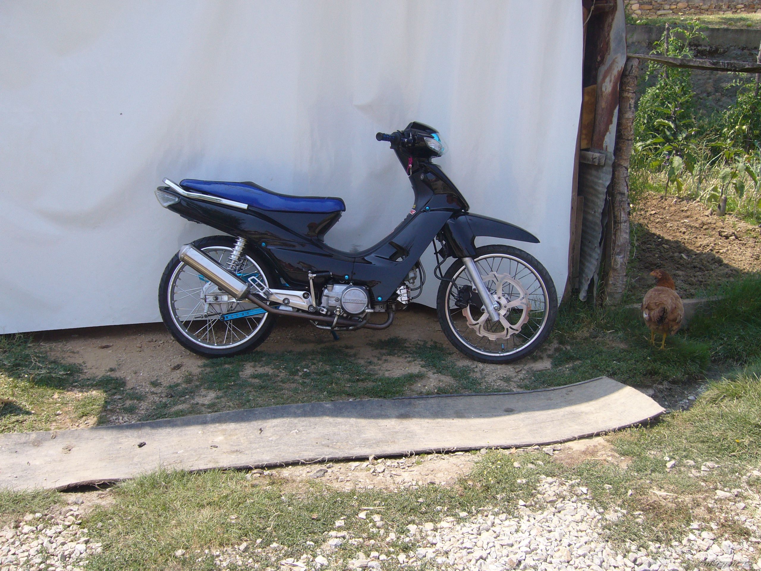 Photo 1429065