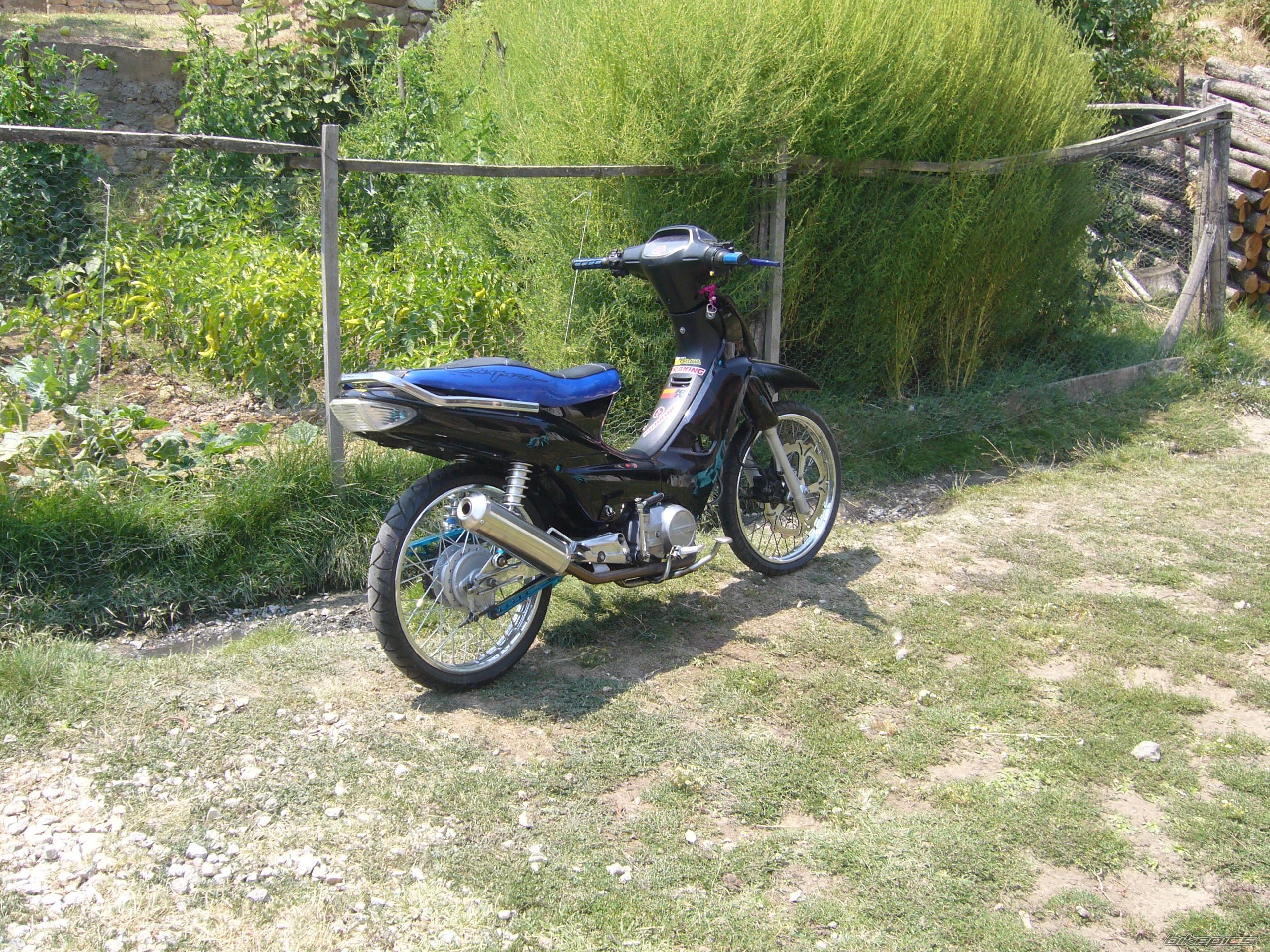 Photo 1429072