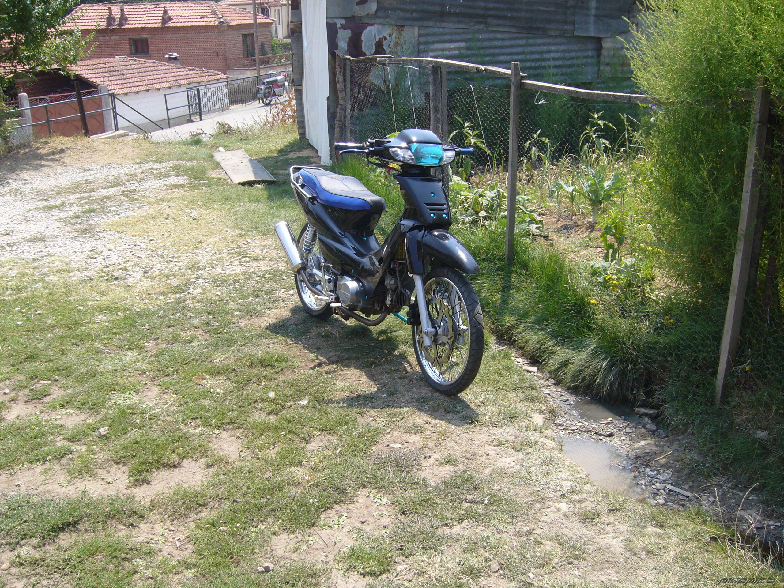 Photo 1429084