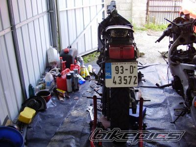 Photo 1429089