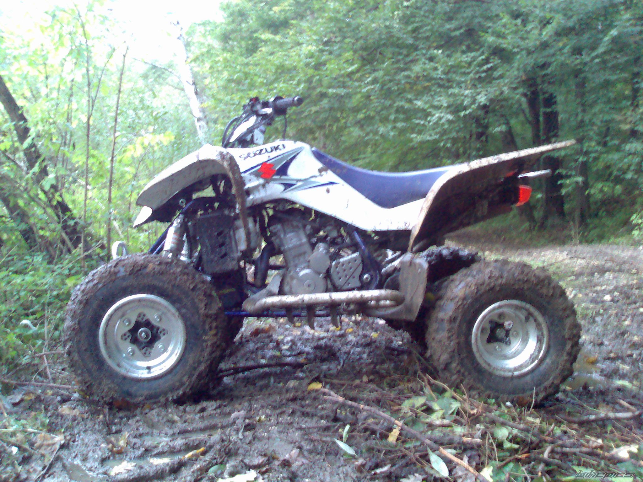 Photo 1429139