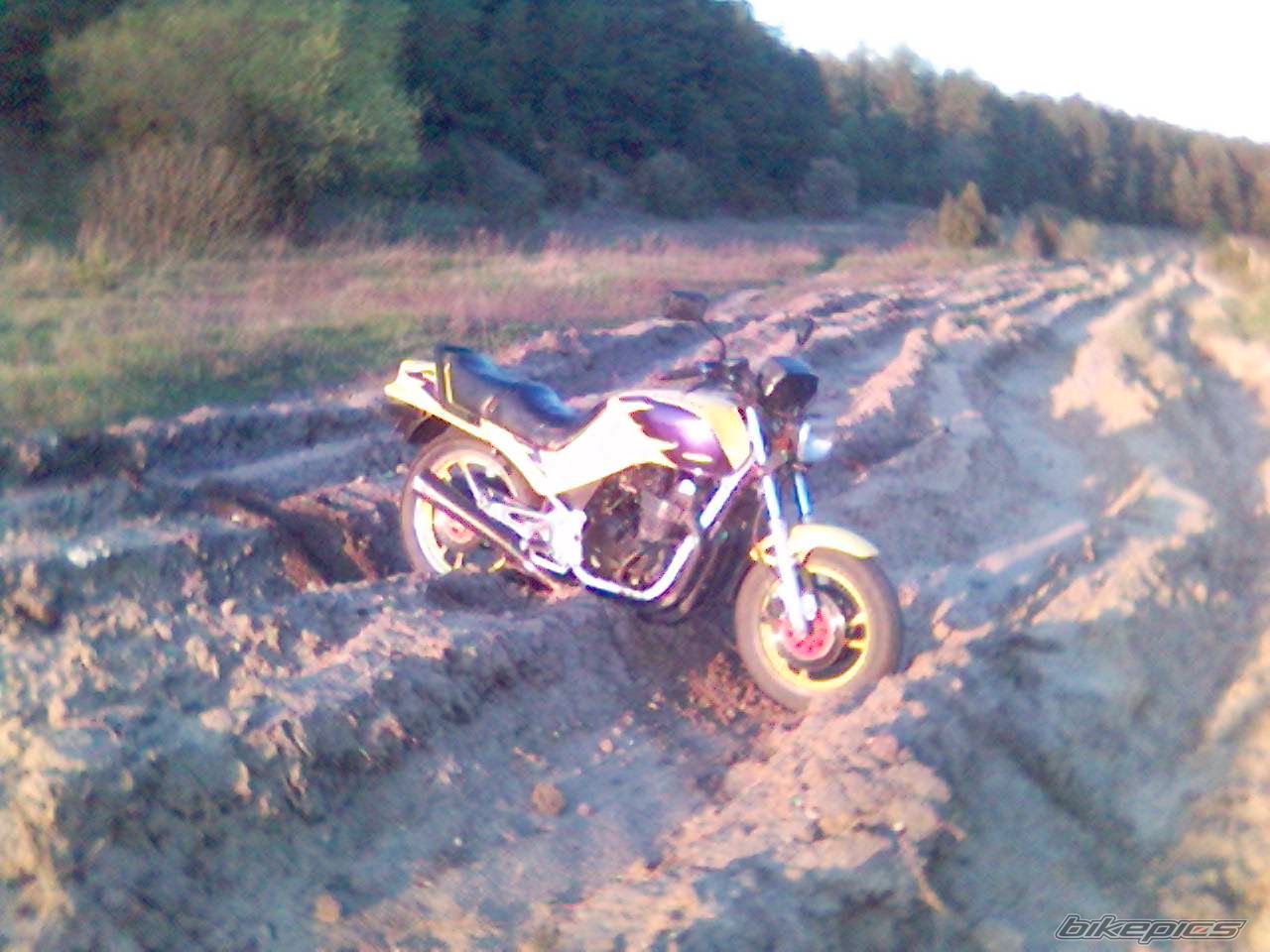 Bike Photo 1429201