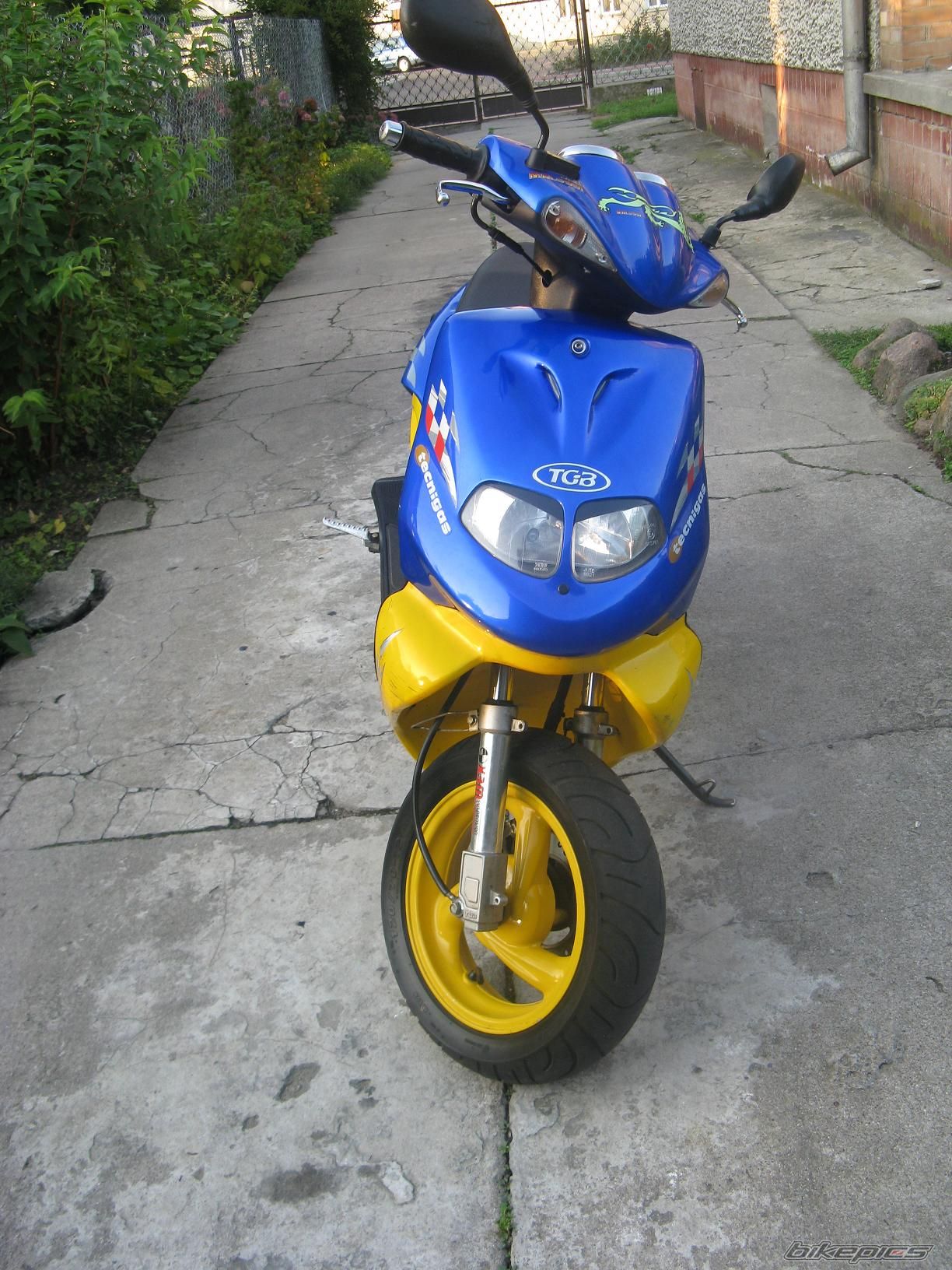 Photo 1429214
