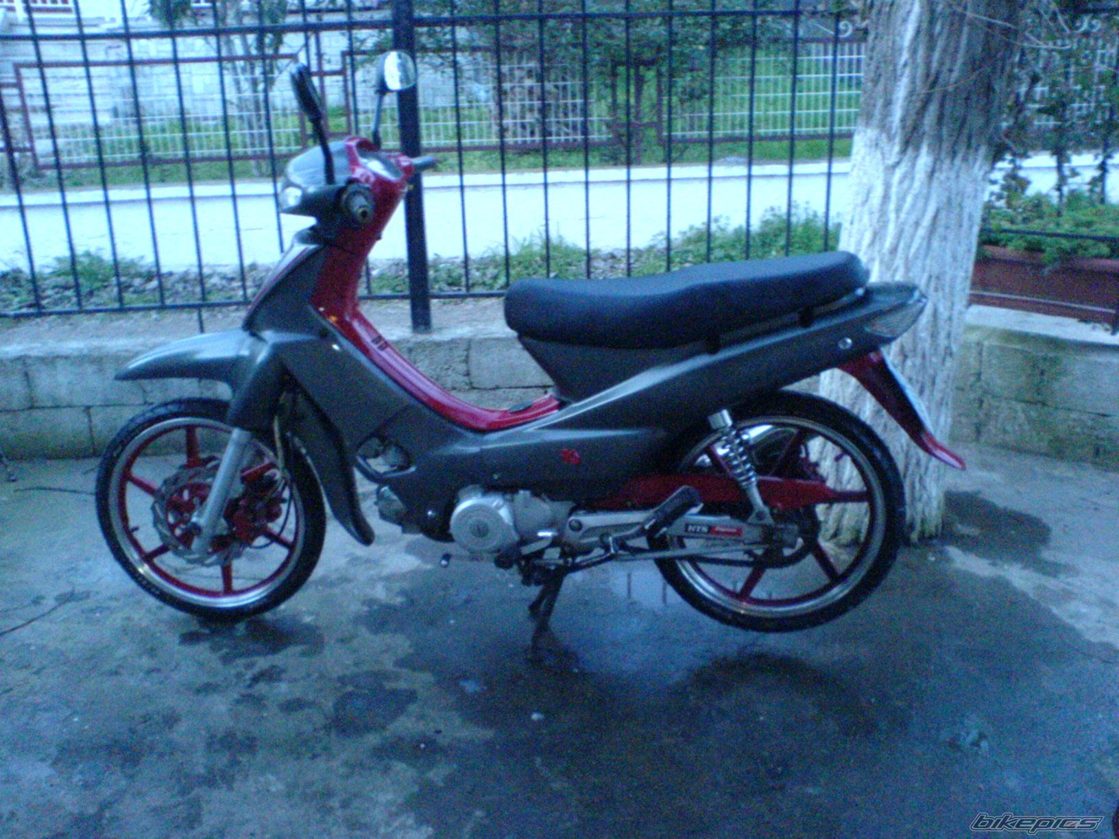 Photo 1429274
