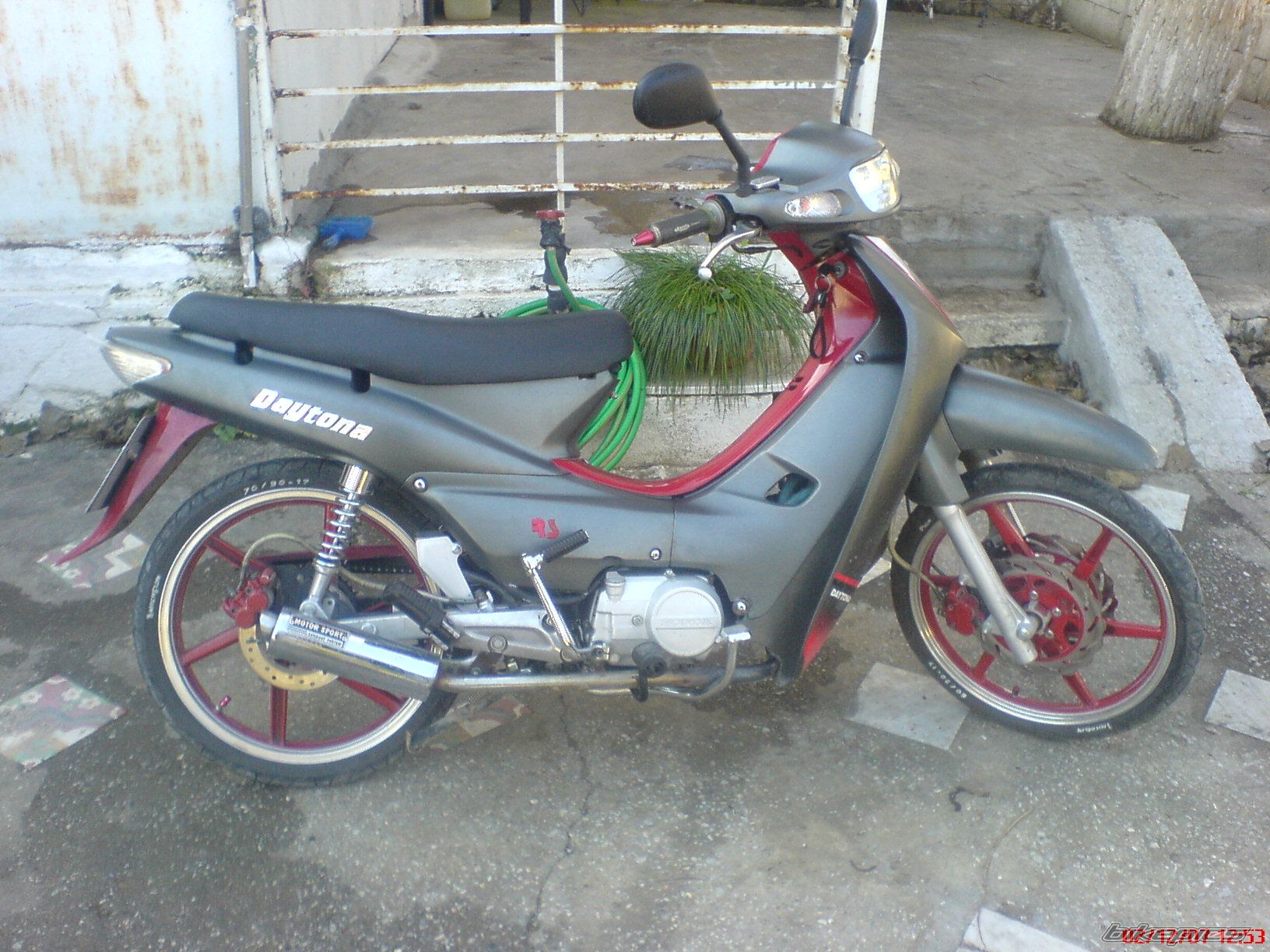 Photo 1429308
