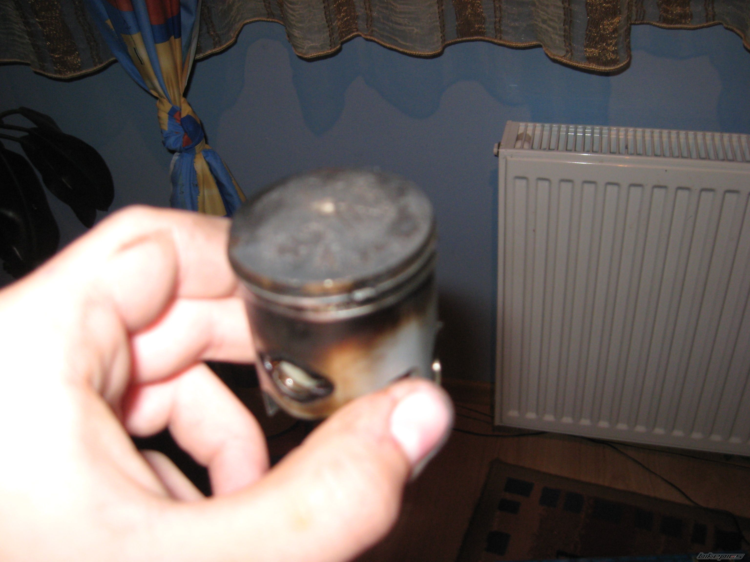 Photo 1429310