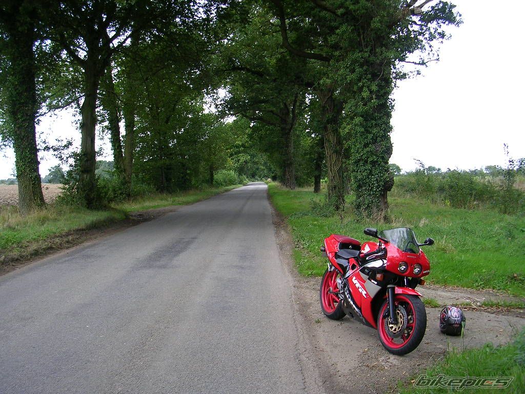 Photo 1429372