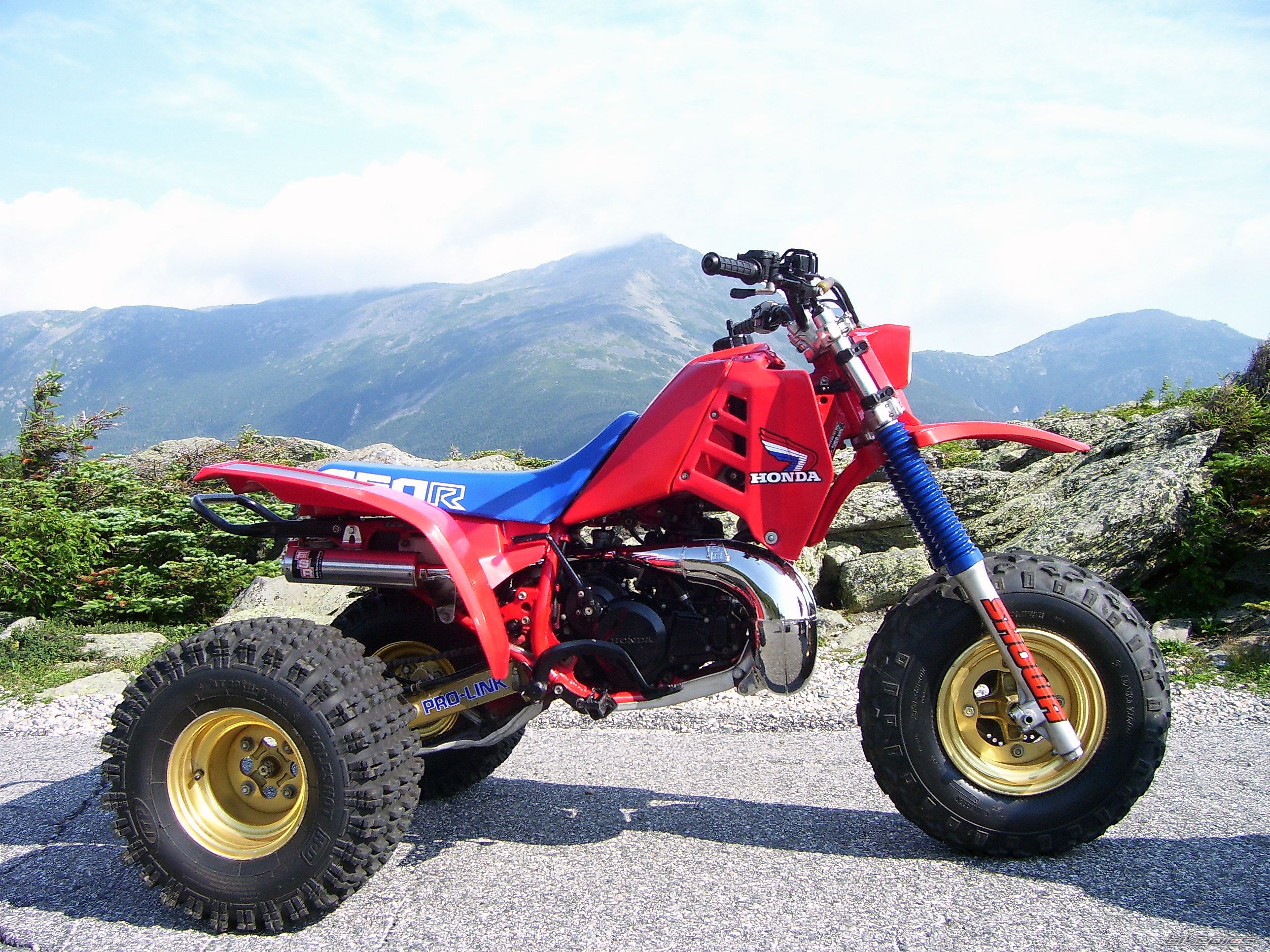 Photo 1429425