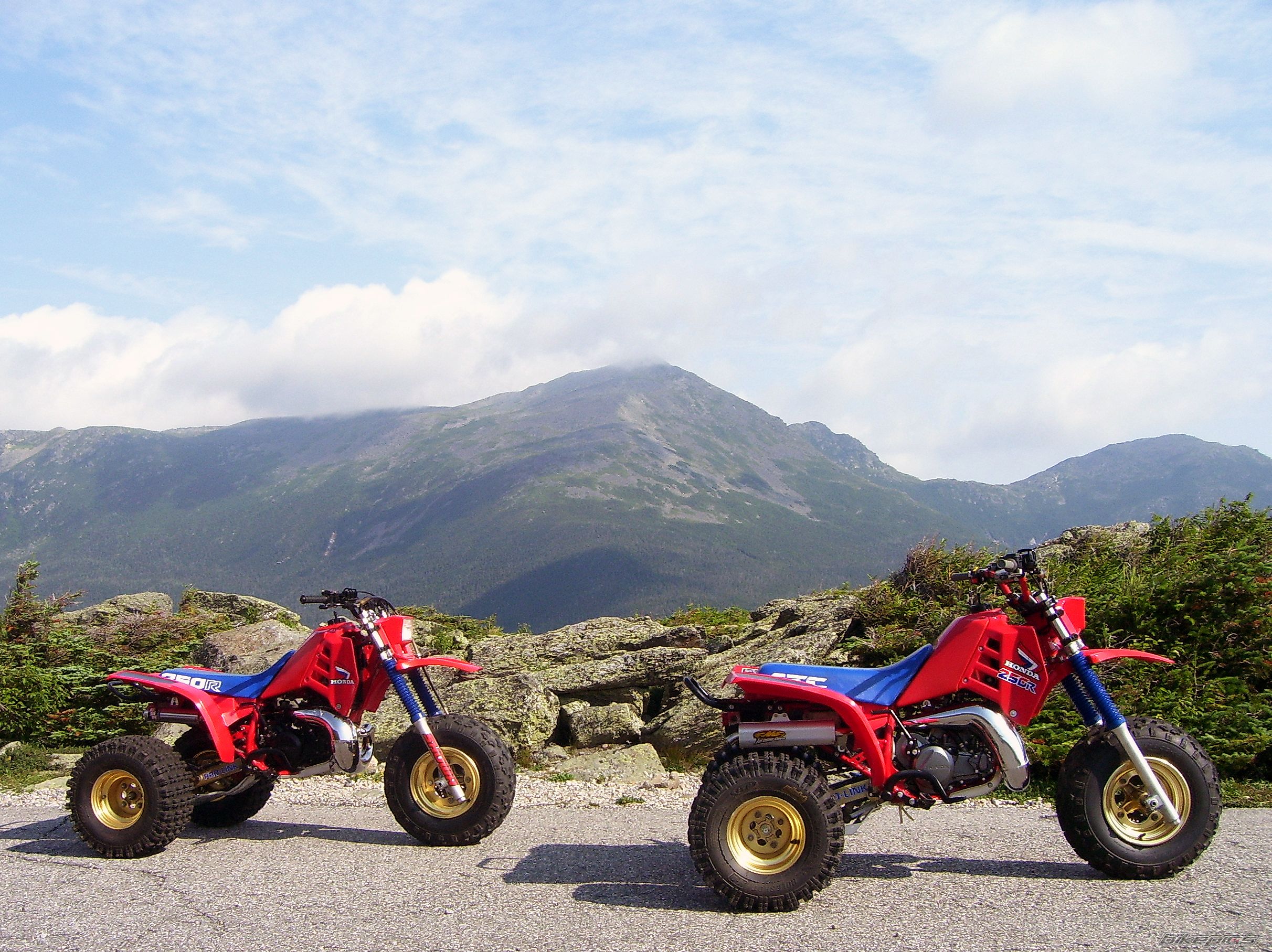 Photo 1429429