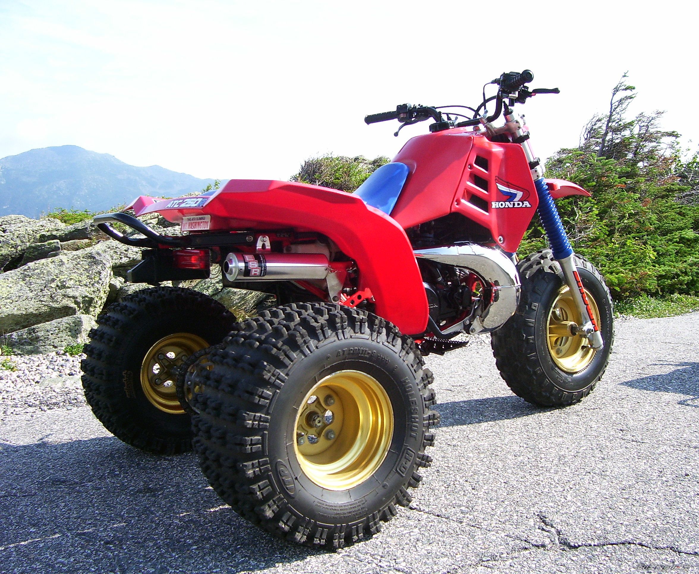 Photo 1429431
