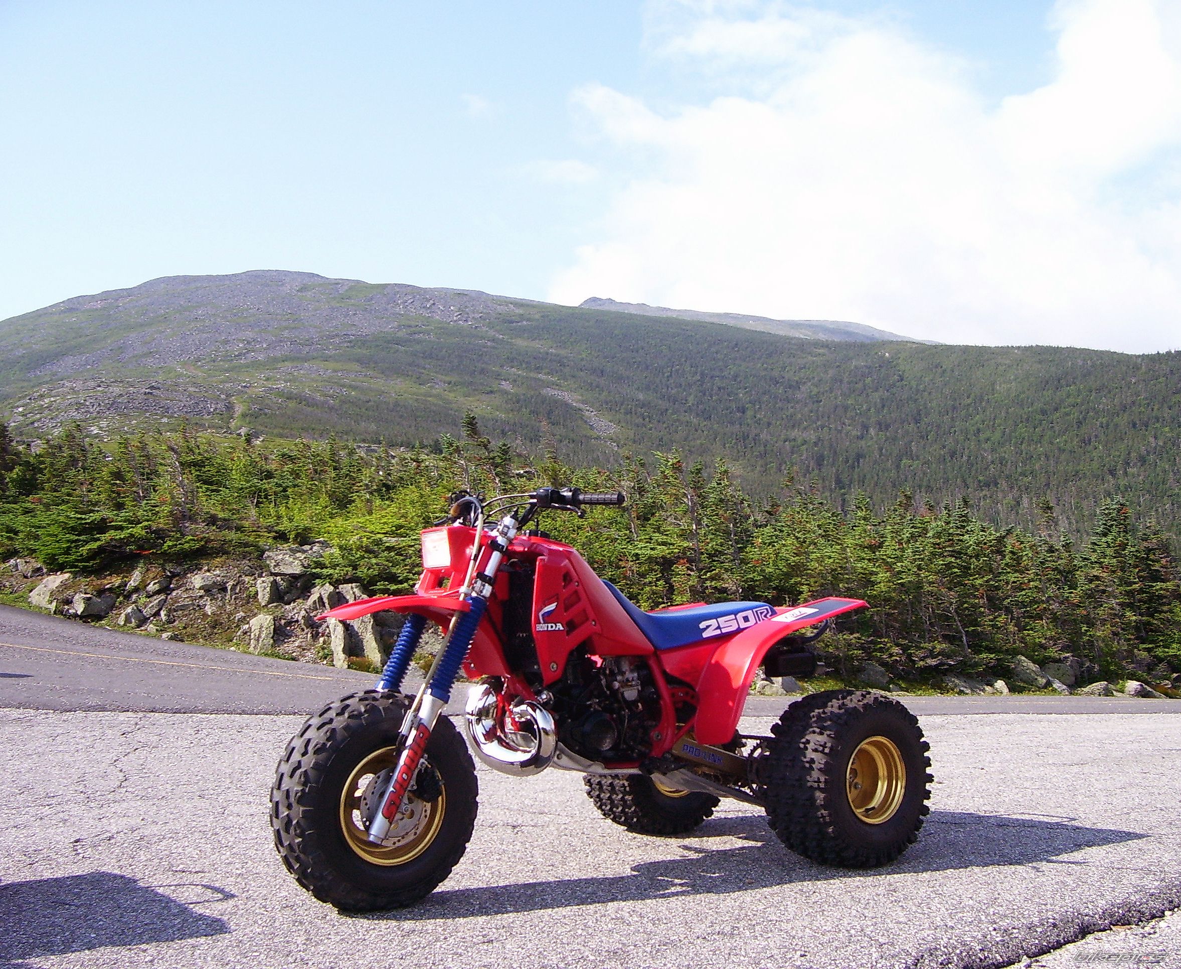 Photo 1429432