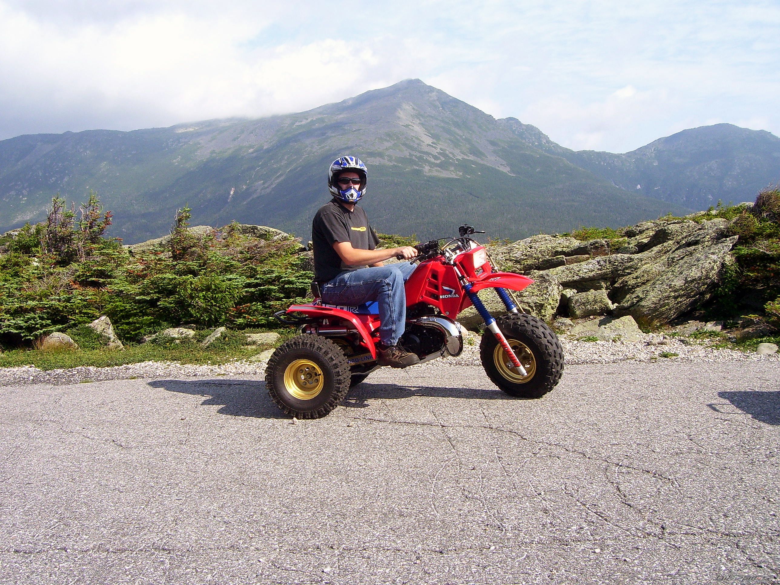 Photo 1429433