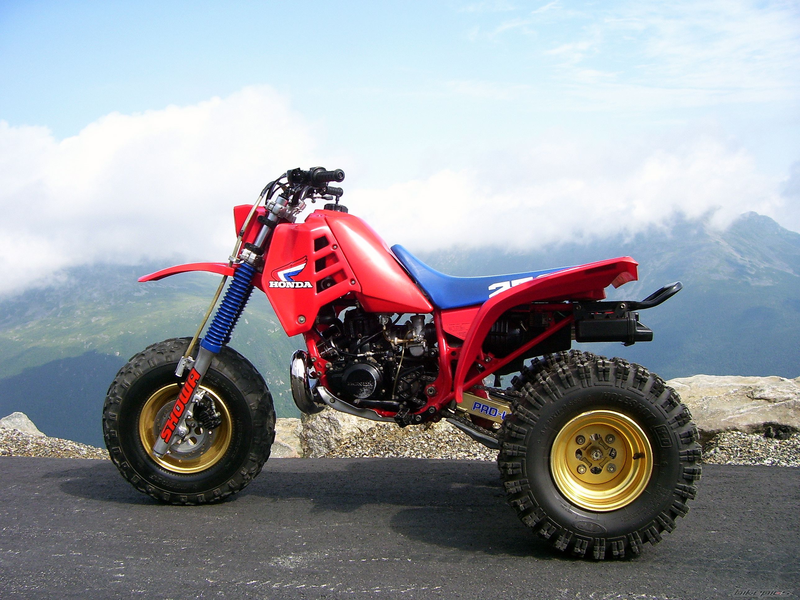 Photo 1429435