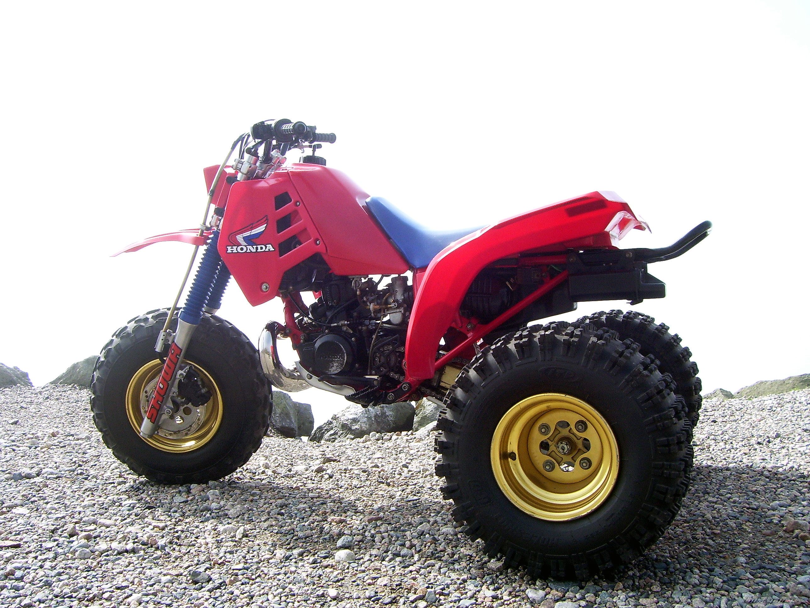 Photo 1429440