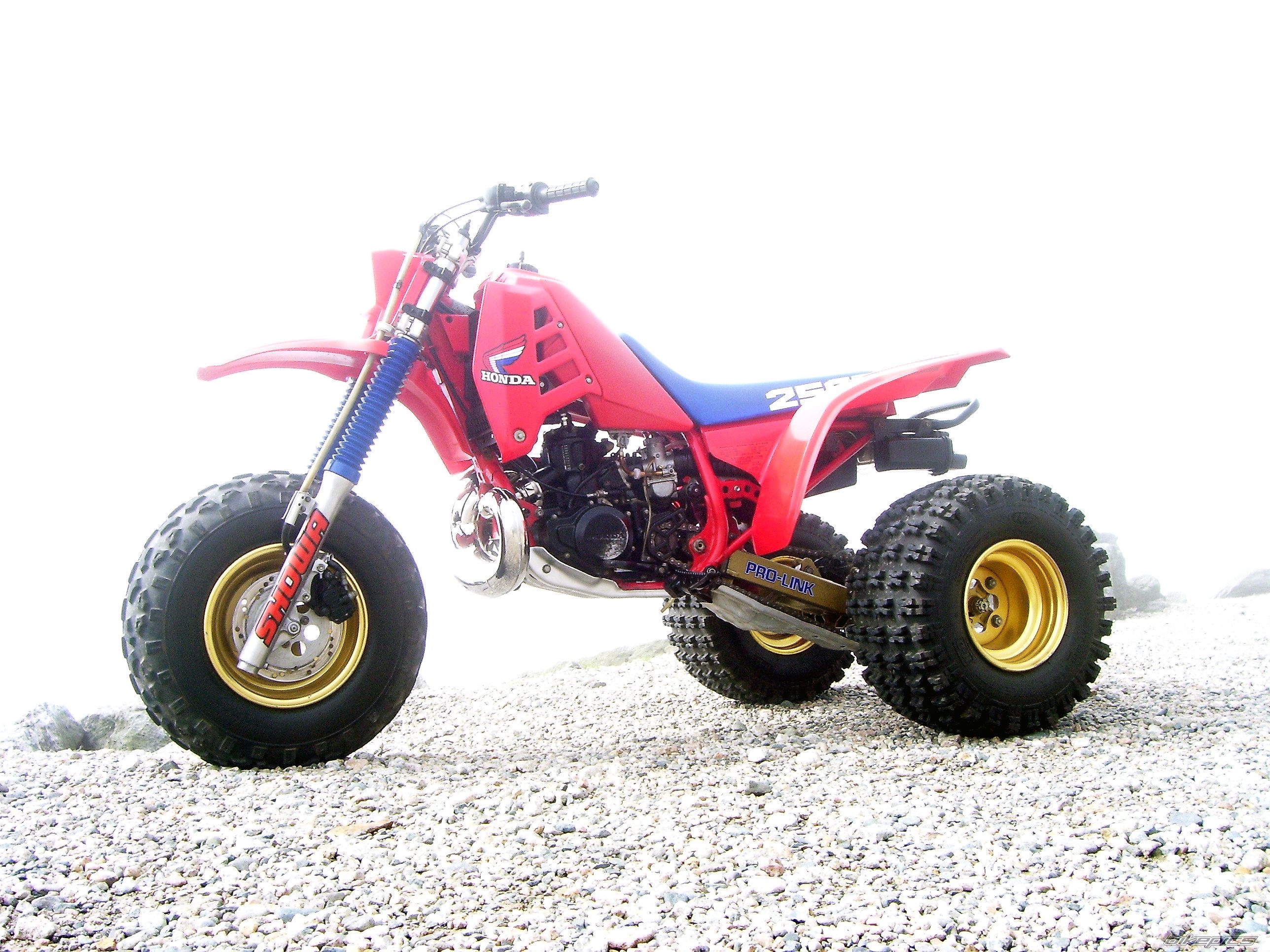 Photo 1429441