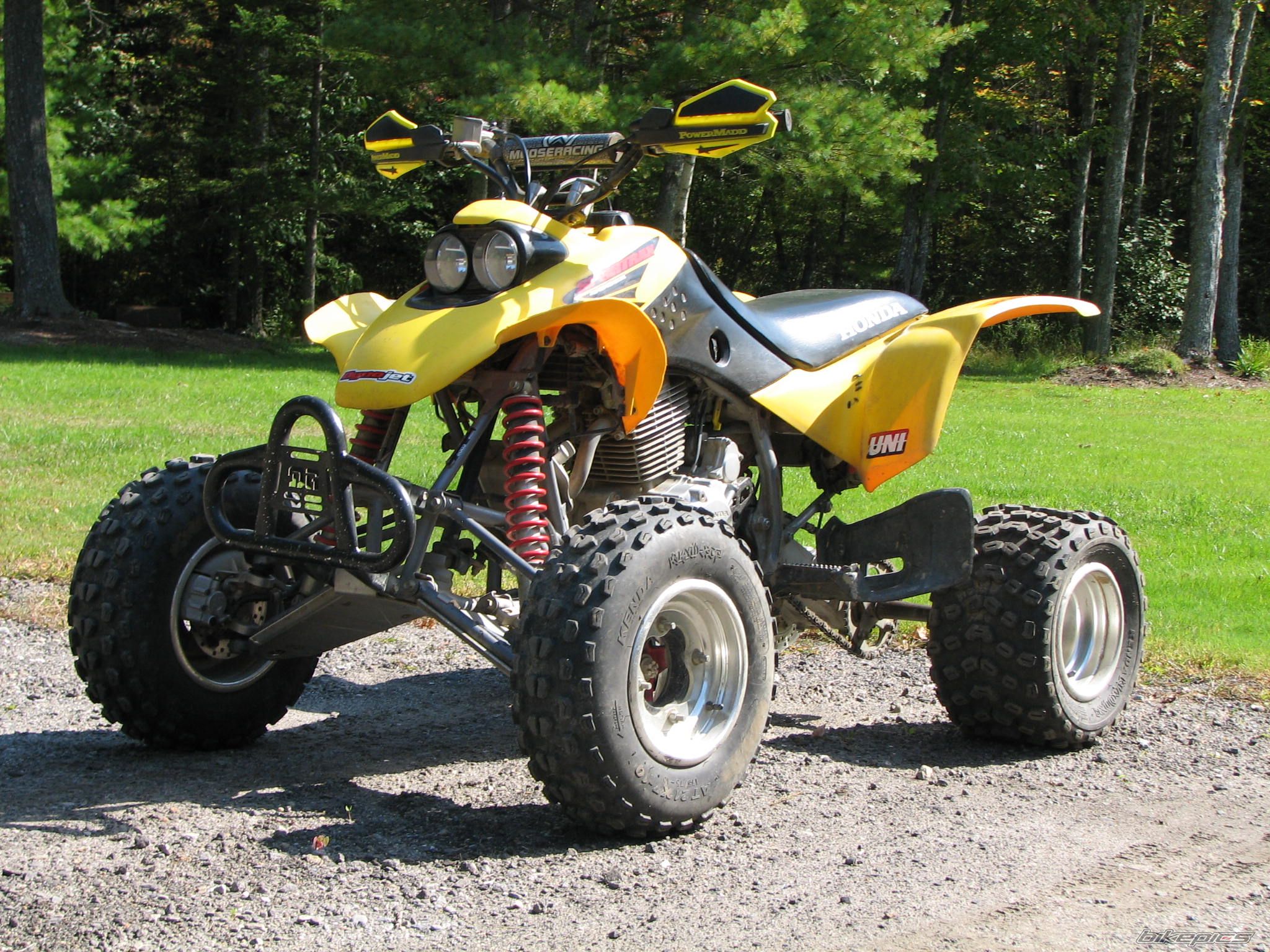 Photo 1429464