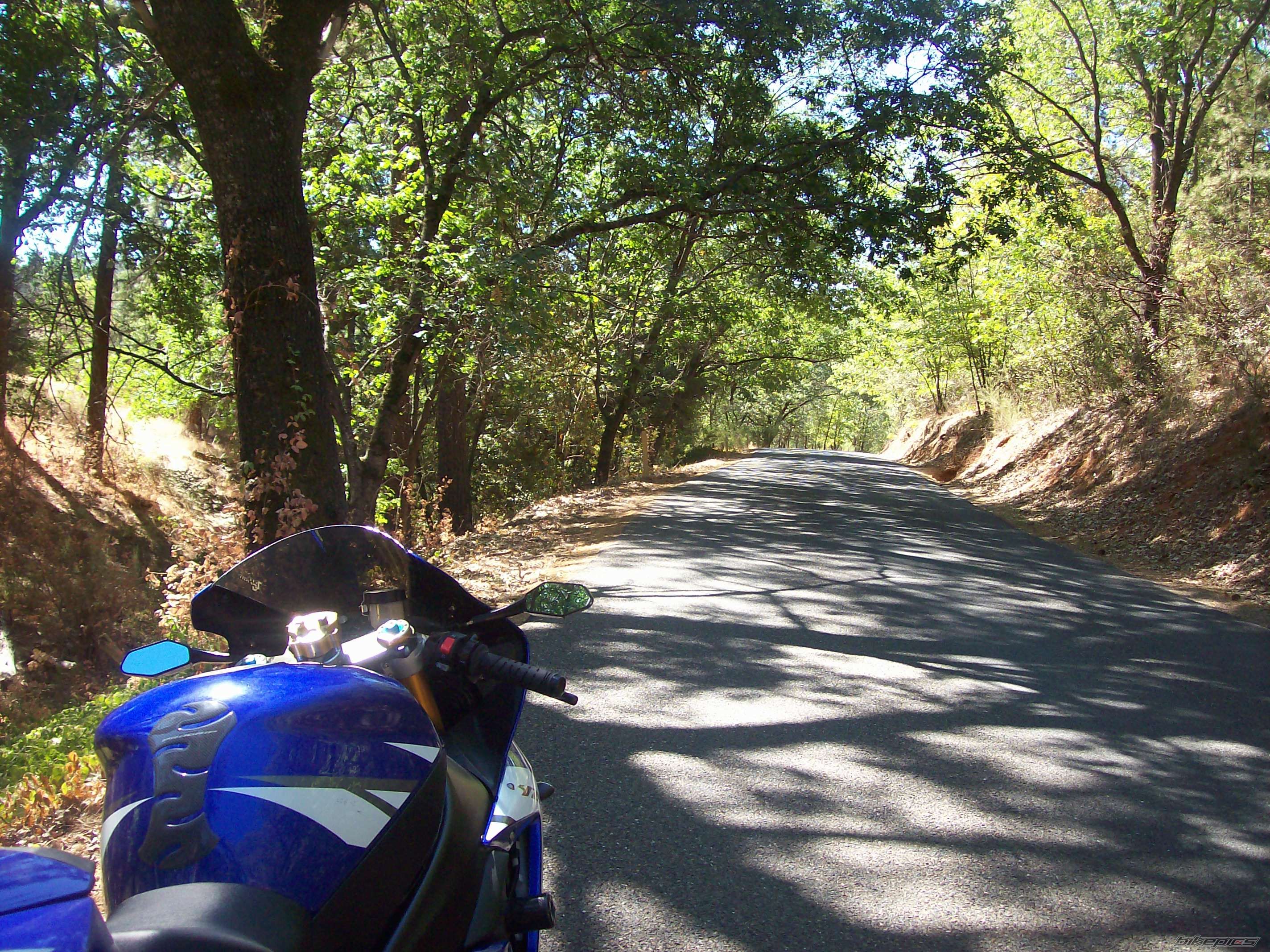 Bike Photo 1429562