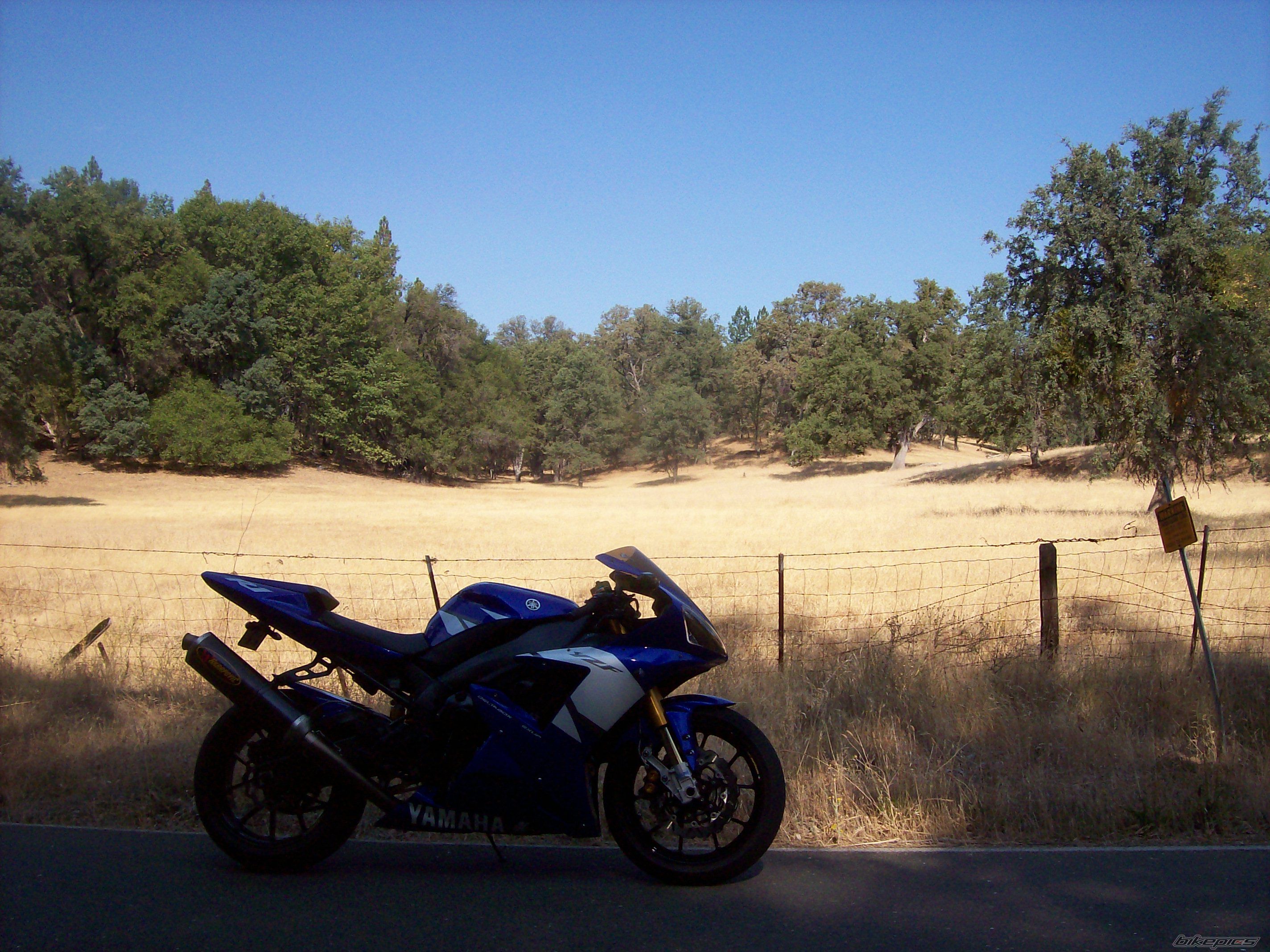Photo 1429564