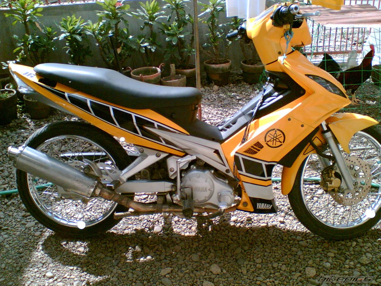 Bike Photo 1429580