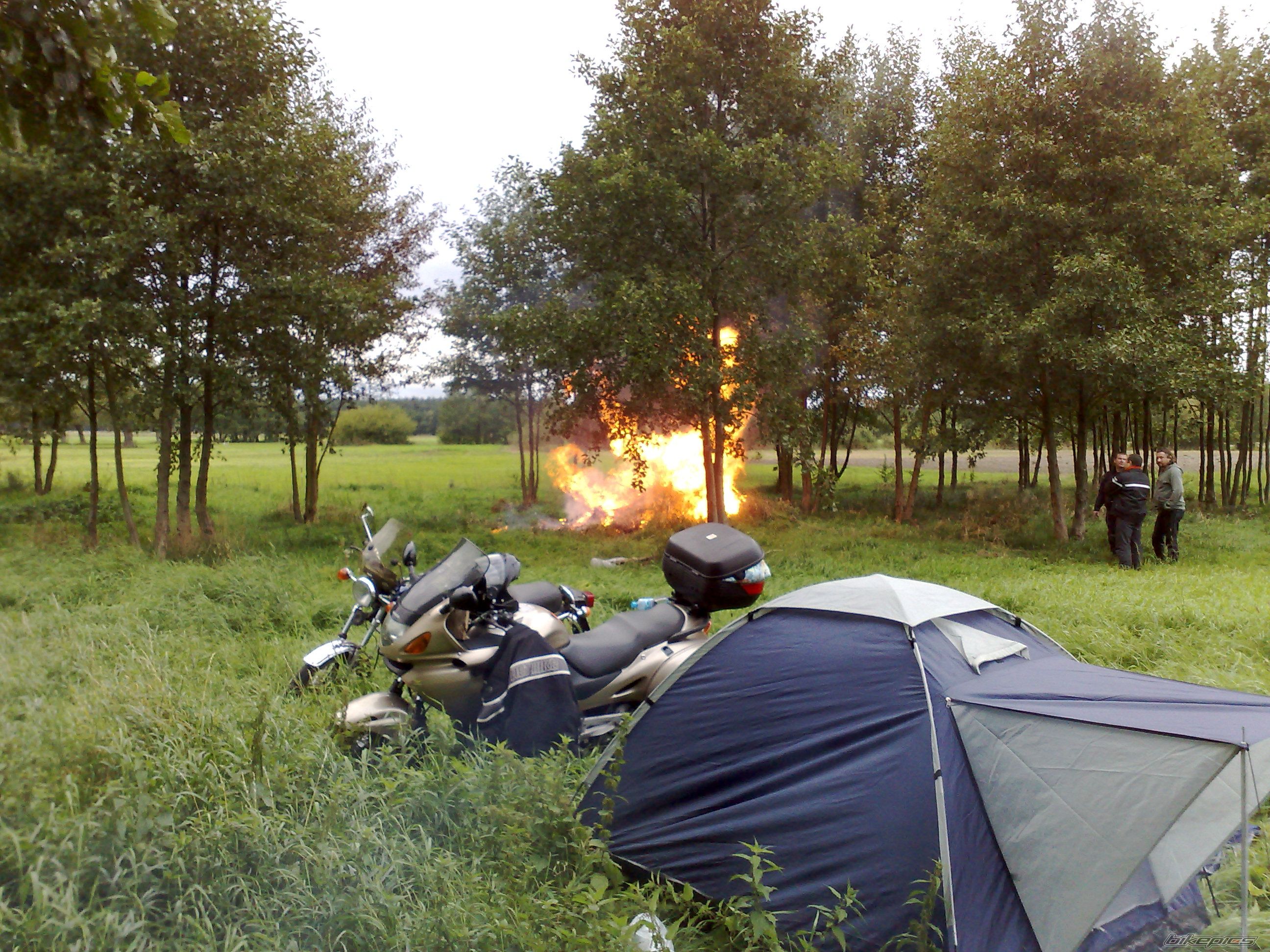 Photo 1429629