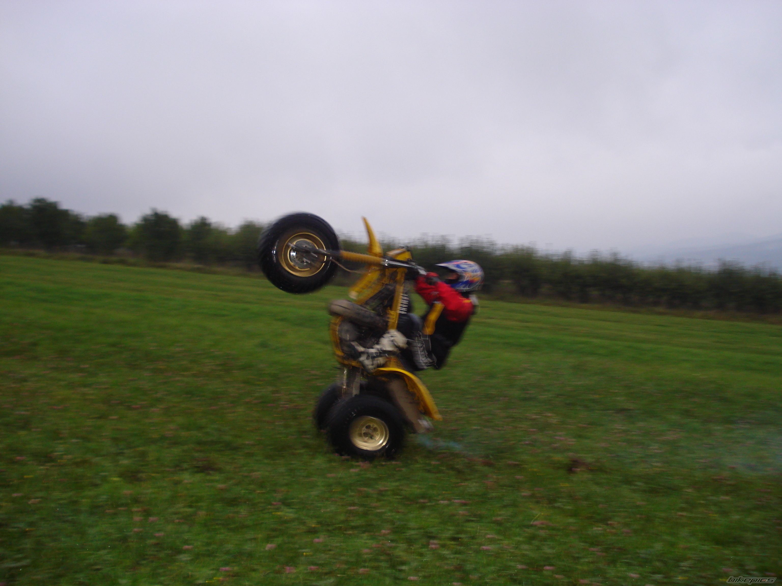 Photo 1429630