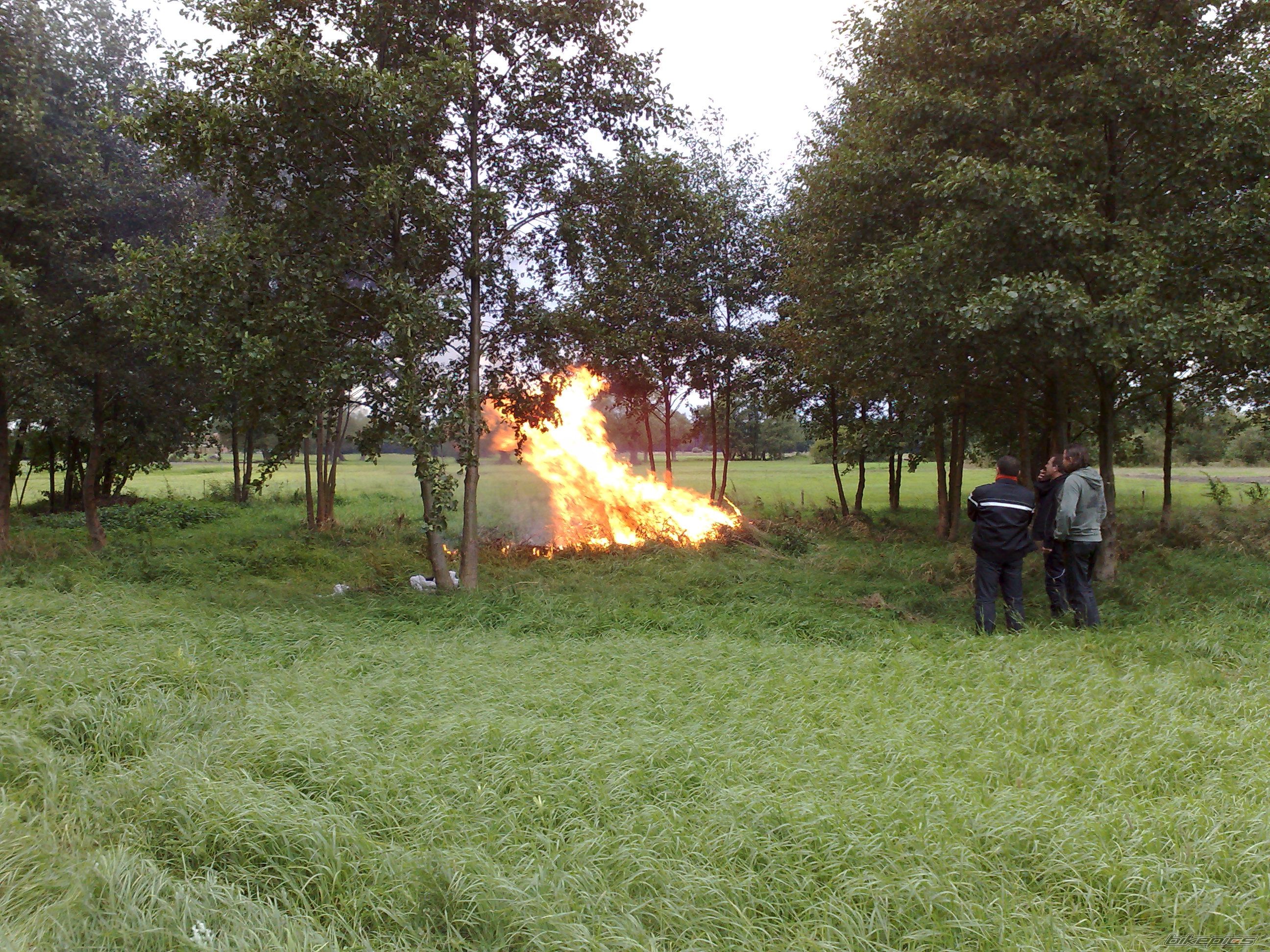 Photo 1429631