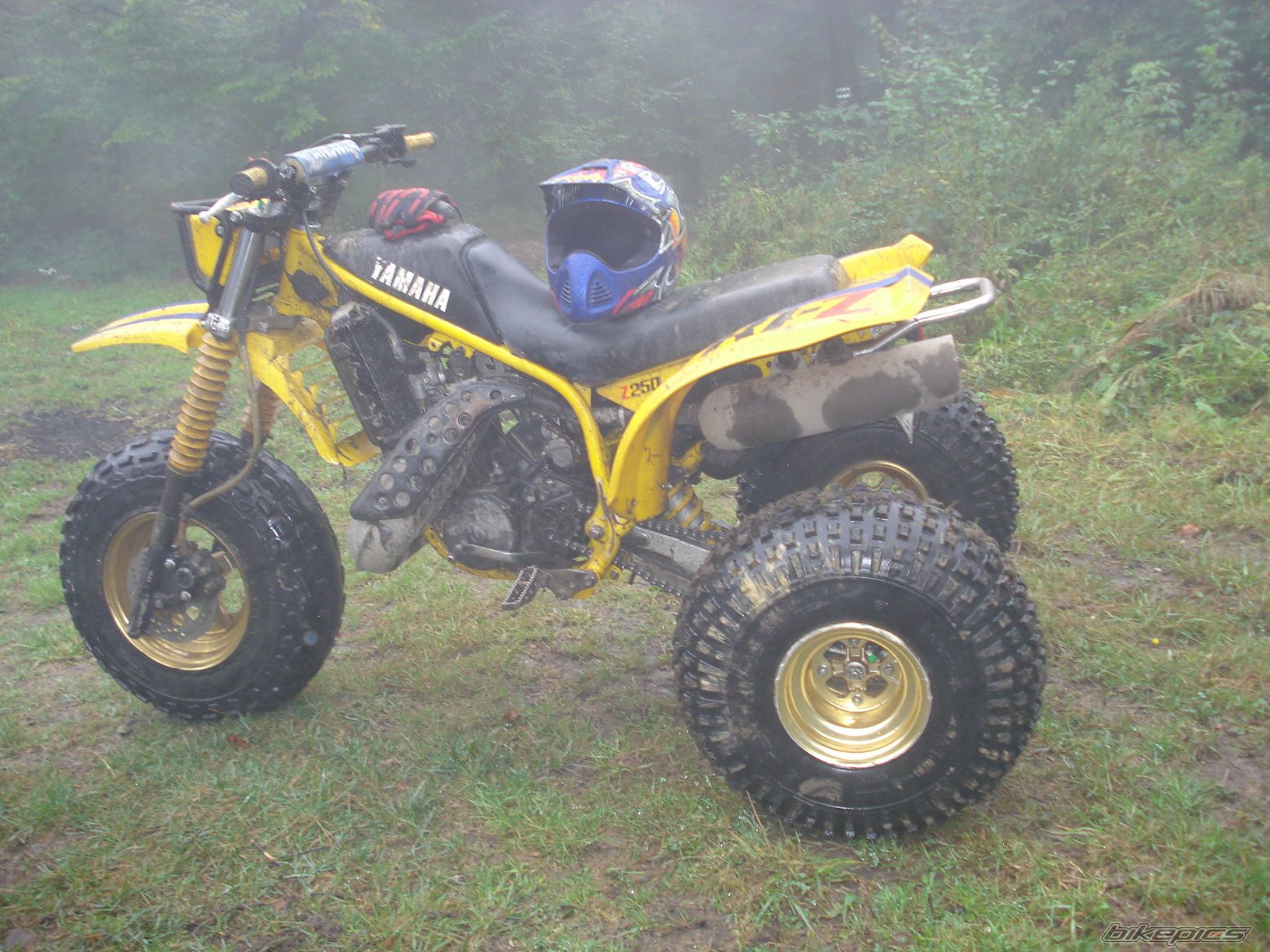 Photo 1429632