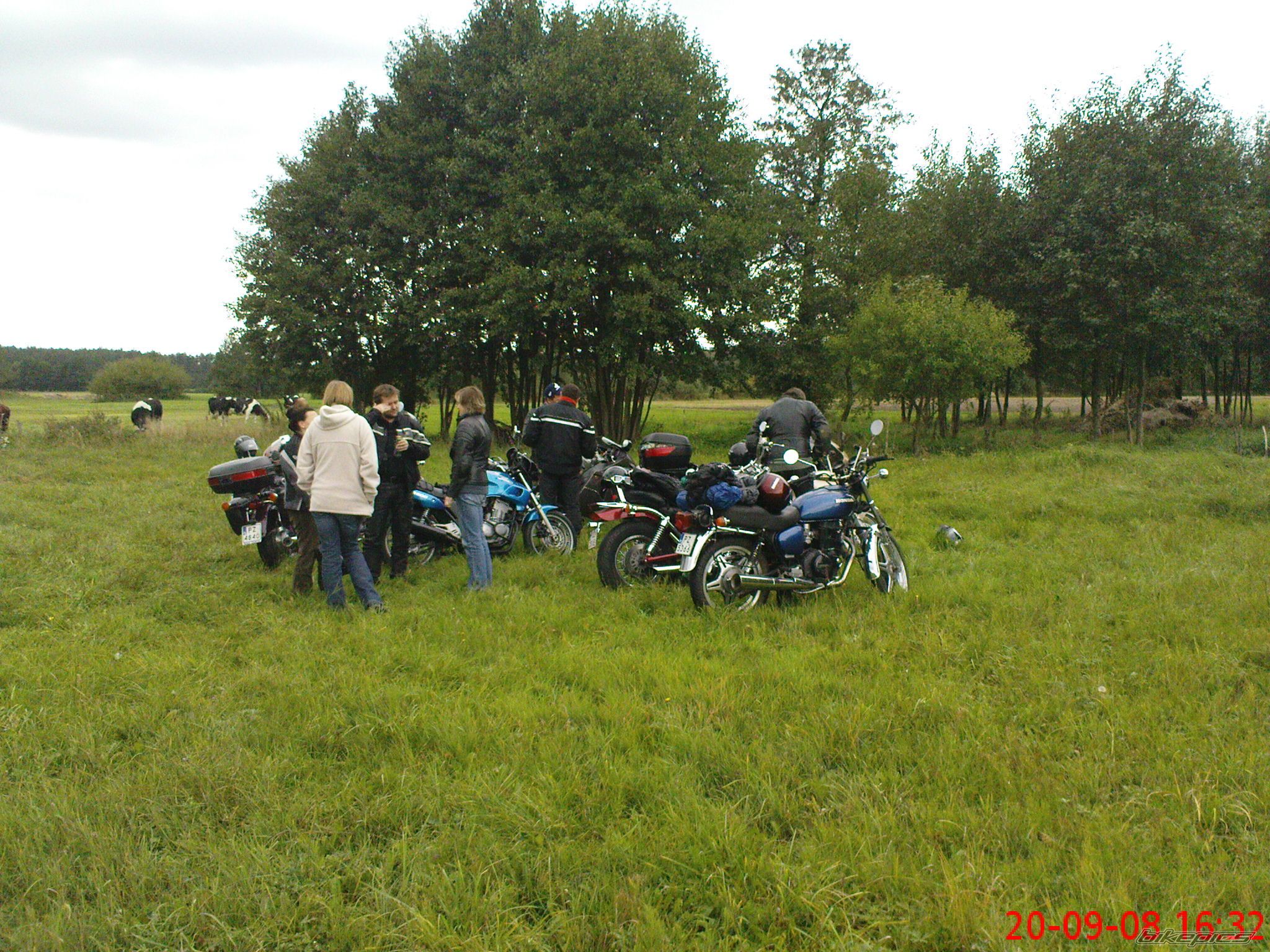 Photo 1429635