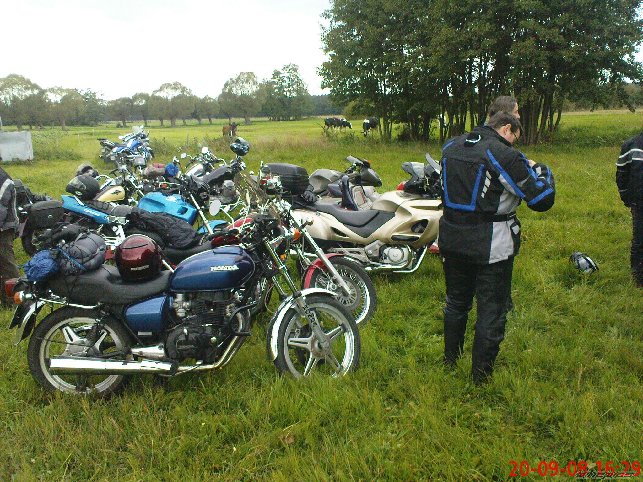 Photo 1429645