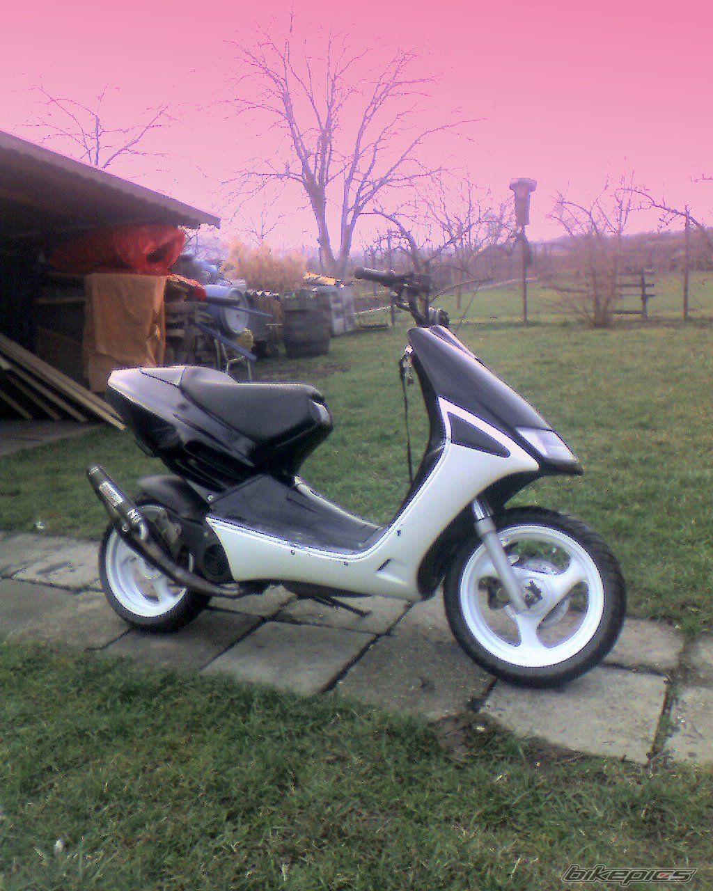 Photo 1429691