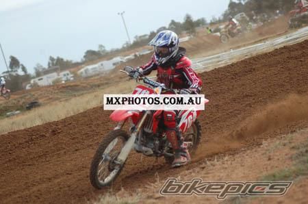 Photo 1429705